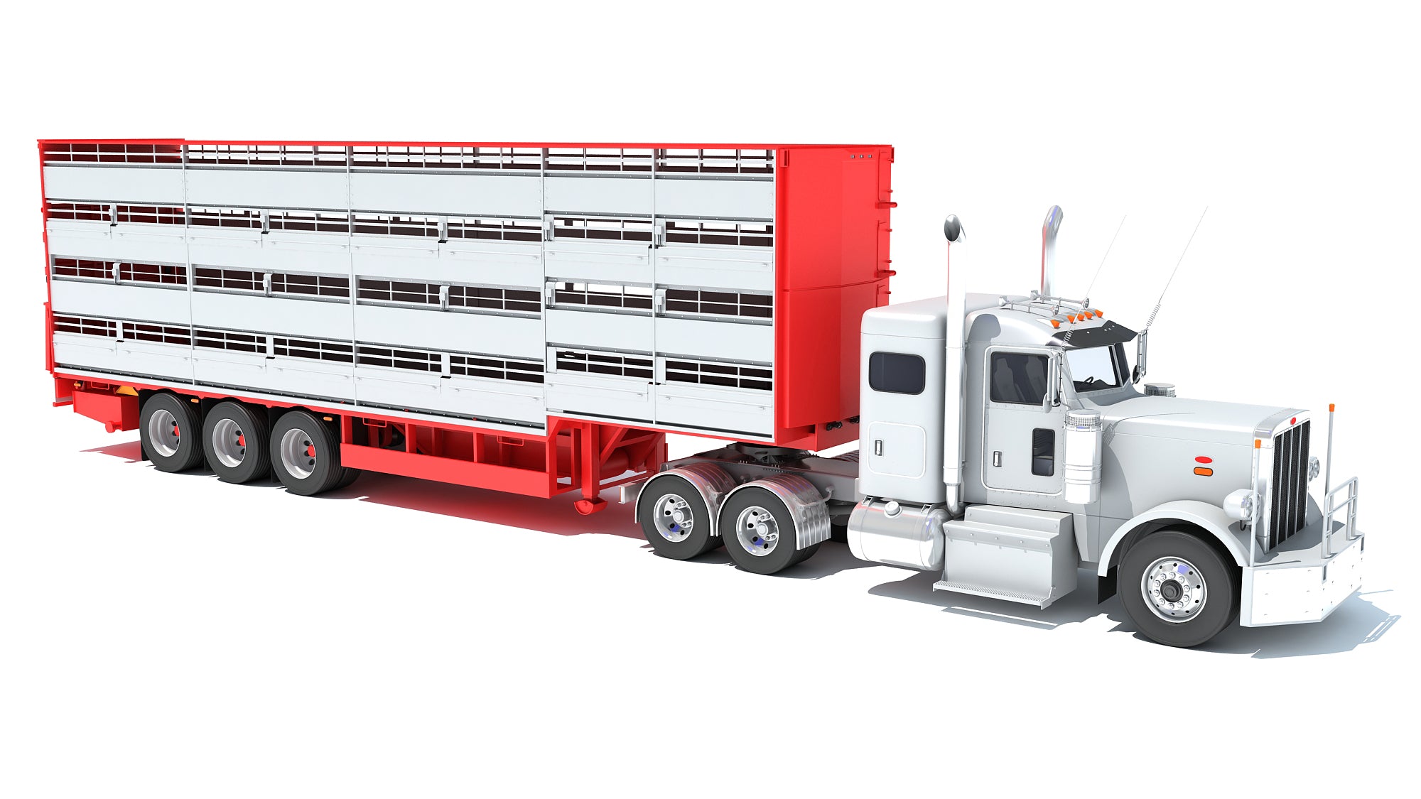 Animal Transporter Semi Truck and Trailer
