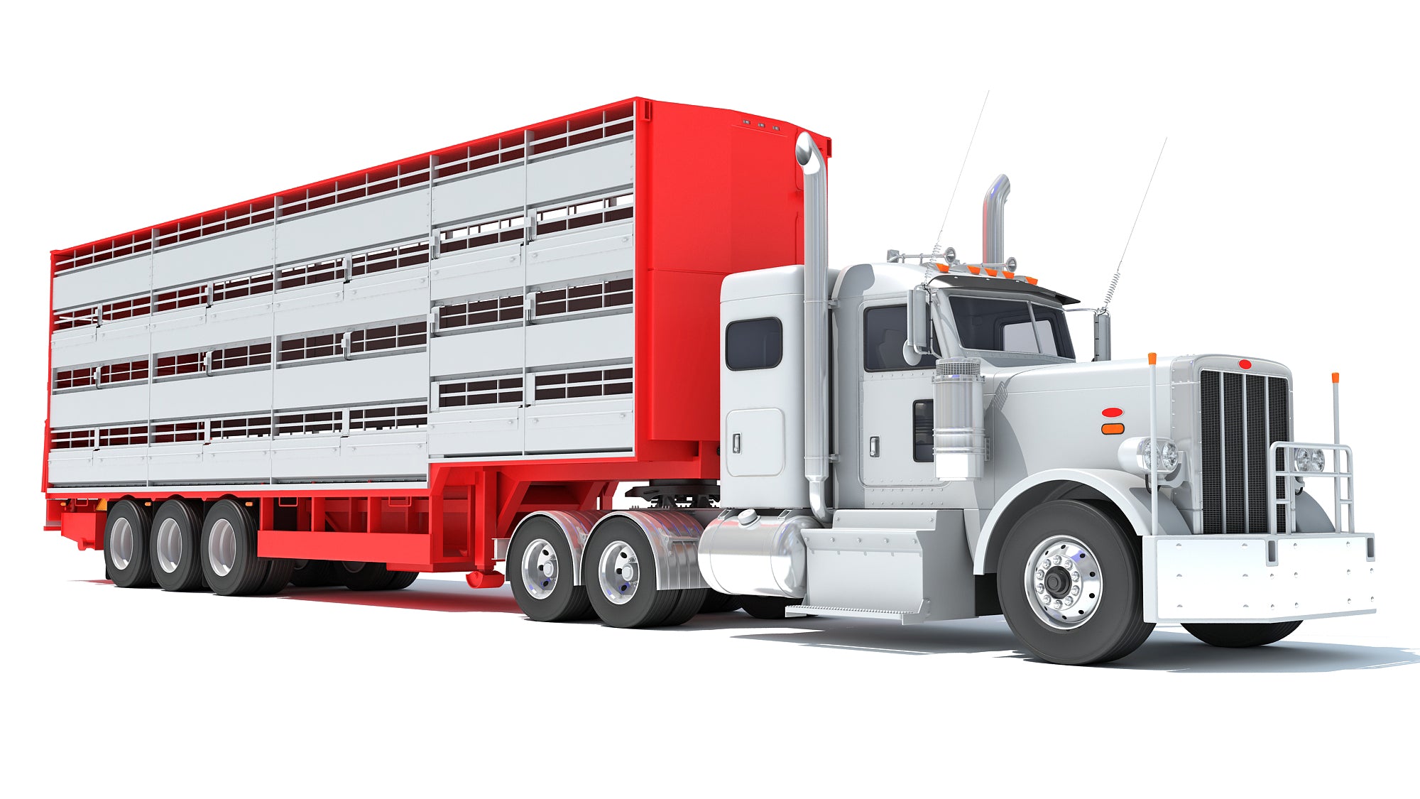 Animal Transporter Semi Truck and Trailer