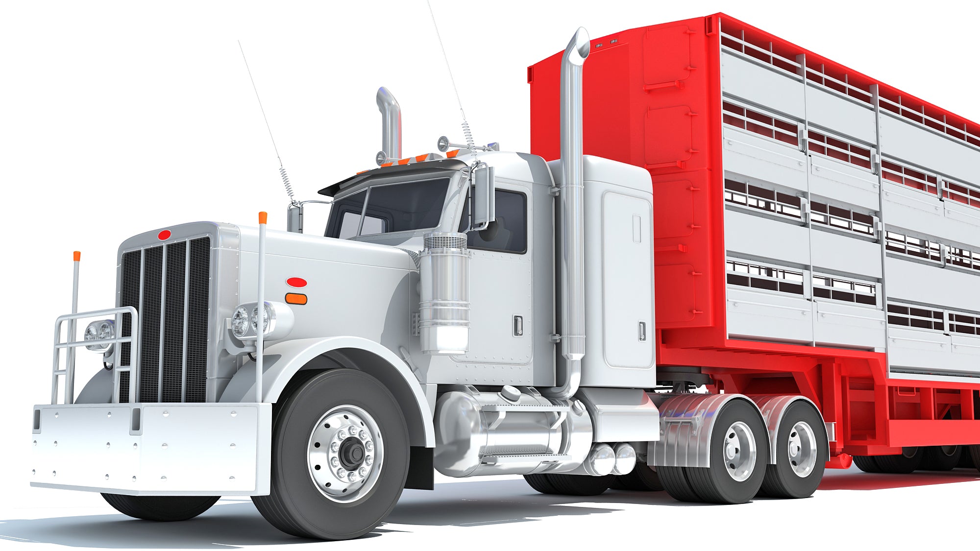 Animal Transporter Semi Truck and Trailer