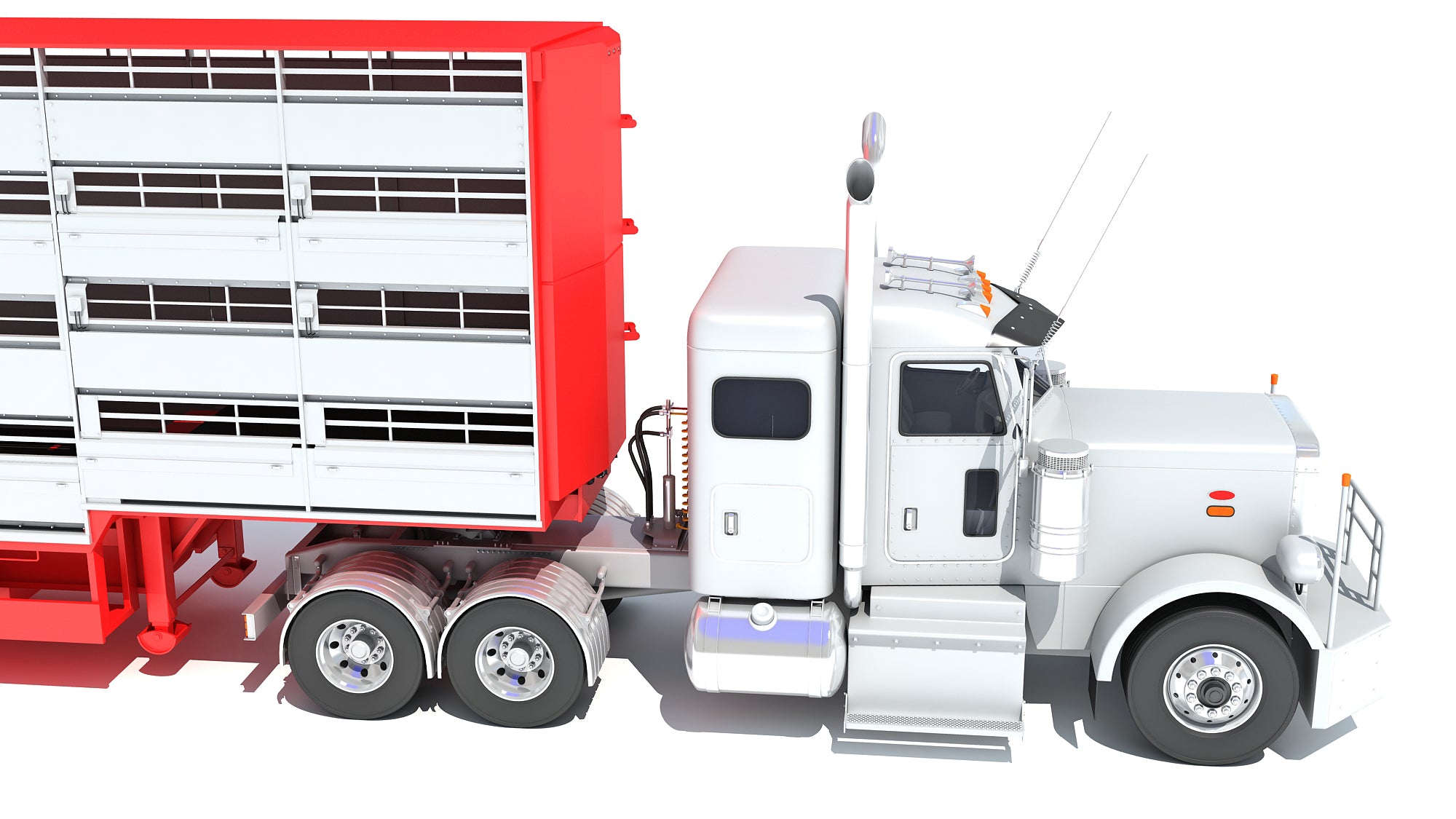 Animal Transporter Semi Truck and Trailer