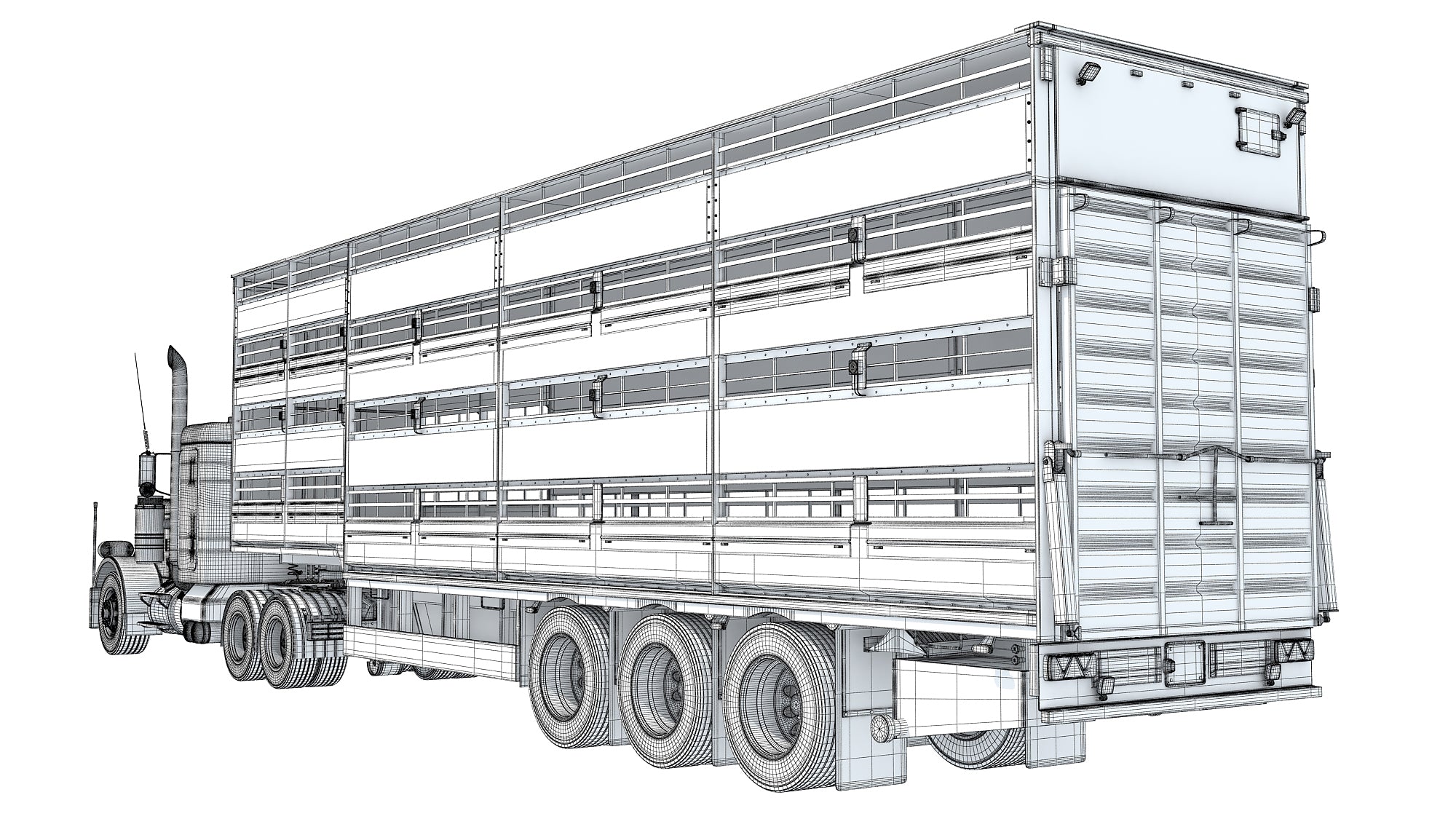 Animal Transporter Semi Truck and Trailer