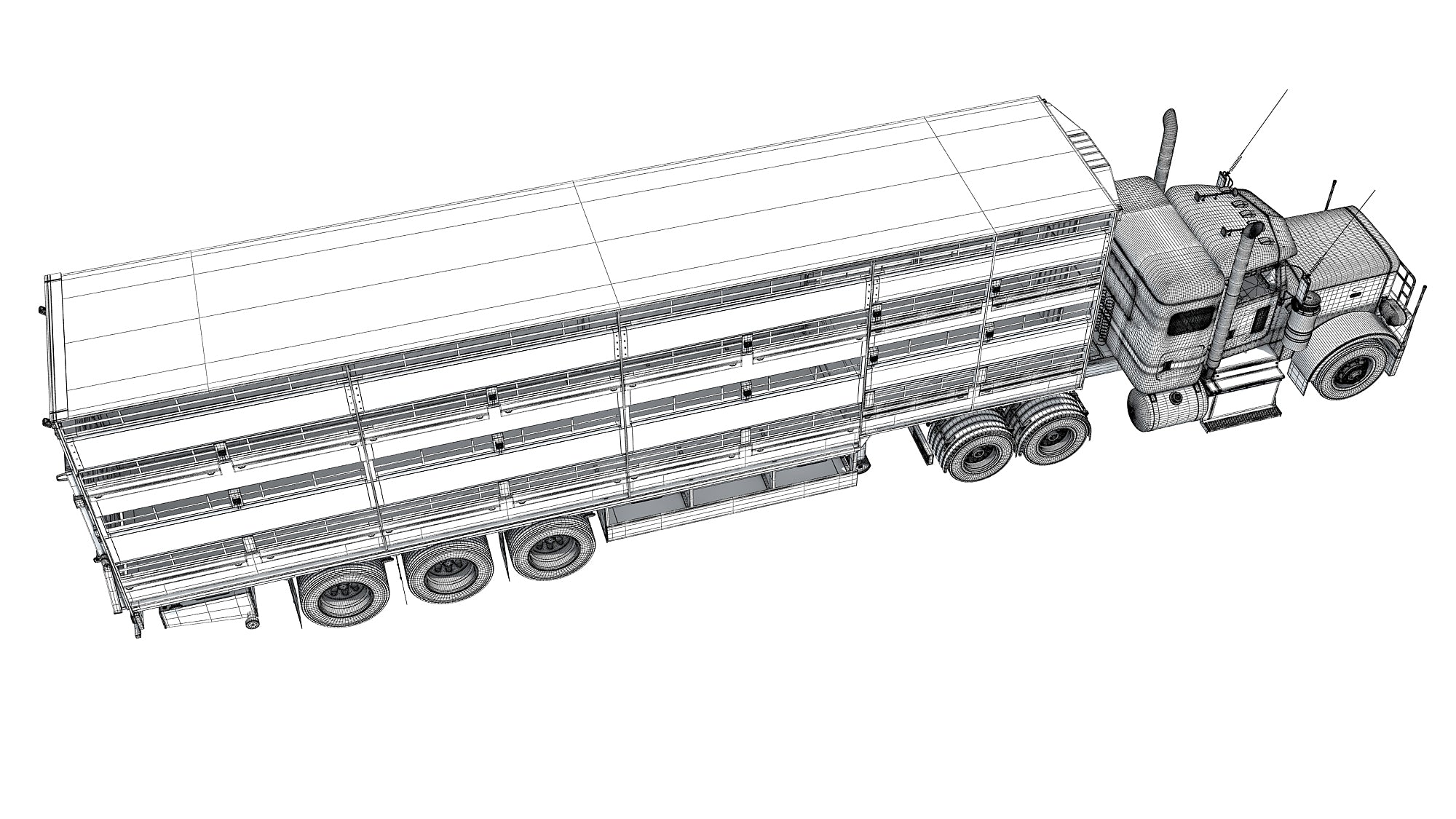 Animal Transporter Semi Truck and Trailer