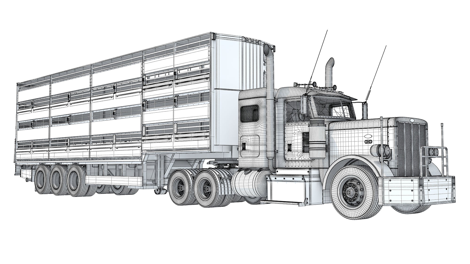 Animal Transporter Semi Truck and Trailer