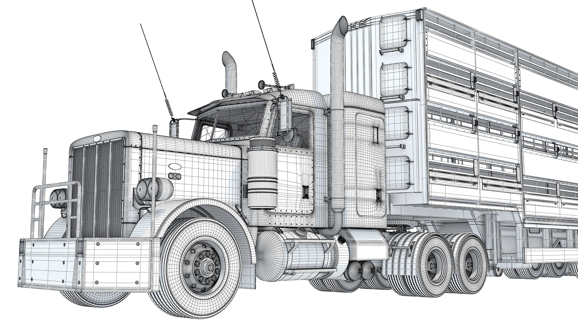 Animal Transporter Semi Truck and Trailer