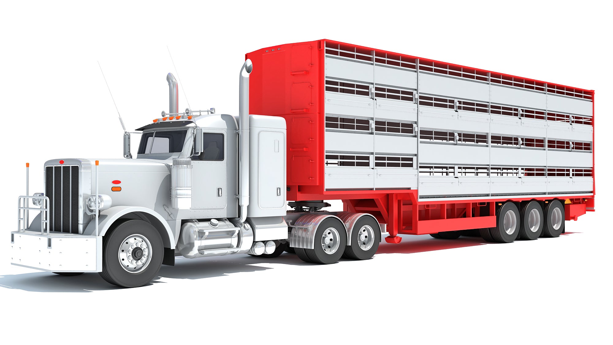 Animal Transporter Semi Truck and Trailer