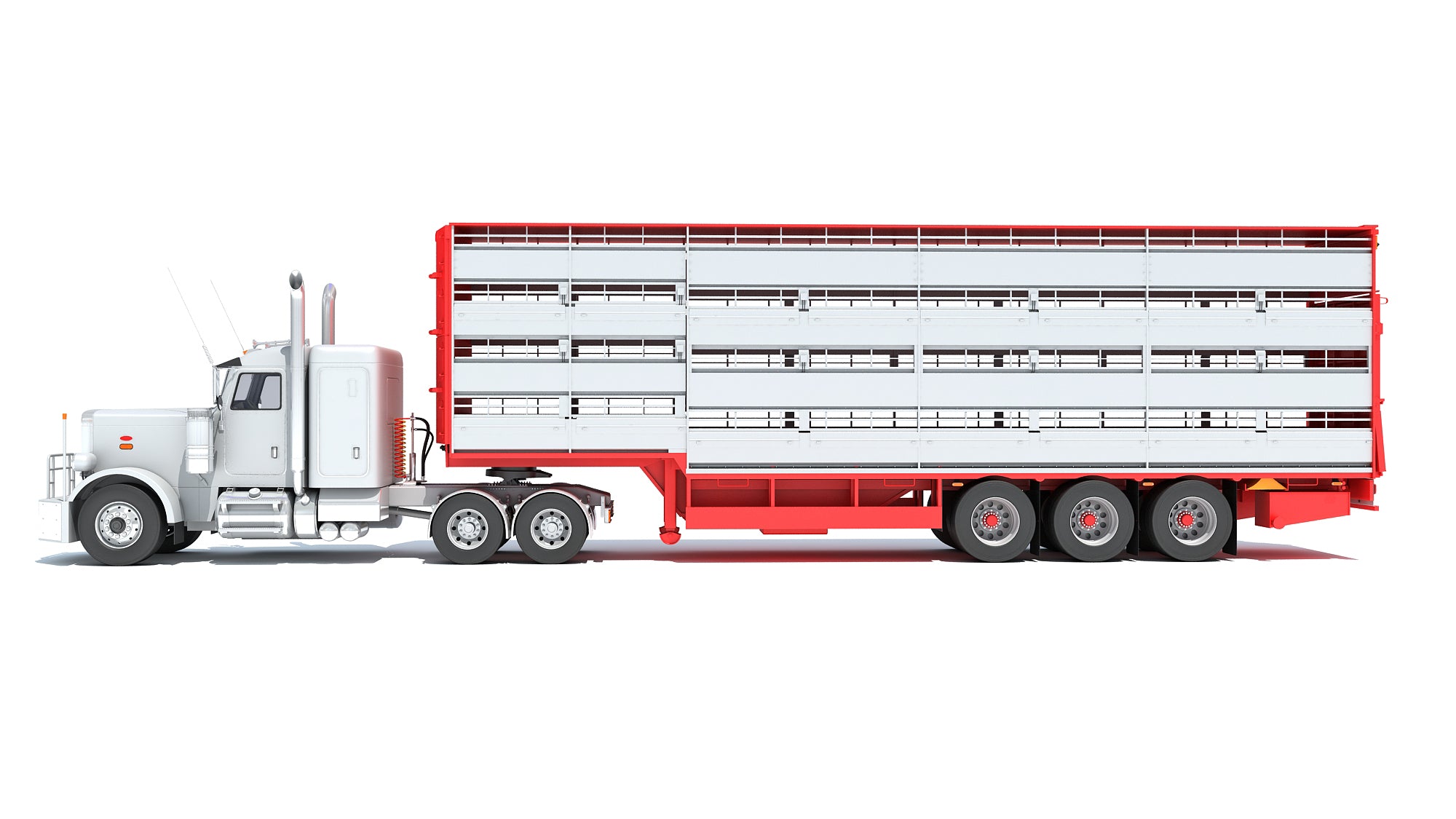 Animal Transporter Semi Truck and Trailer