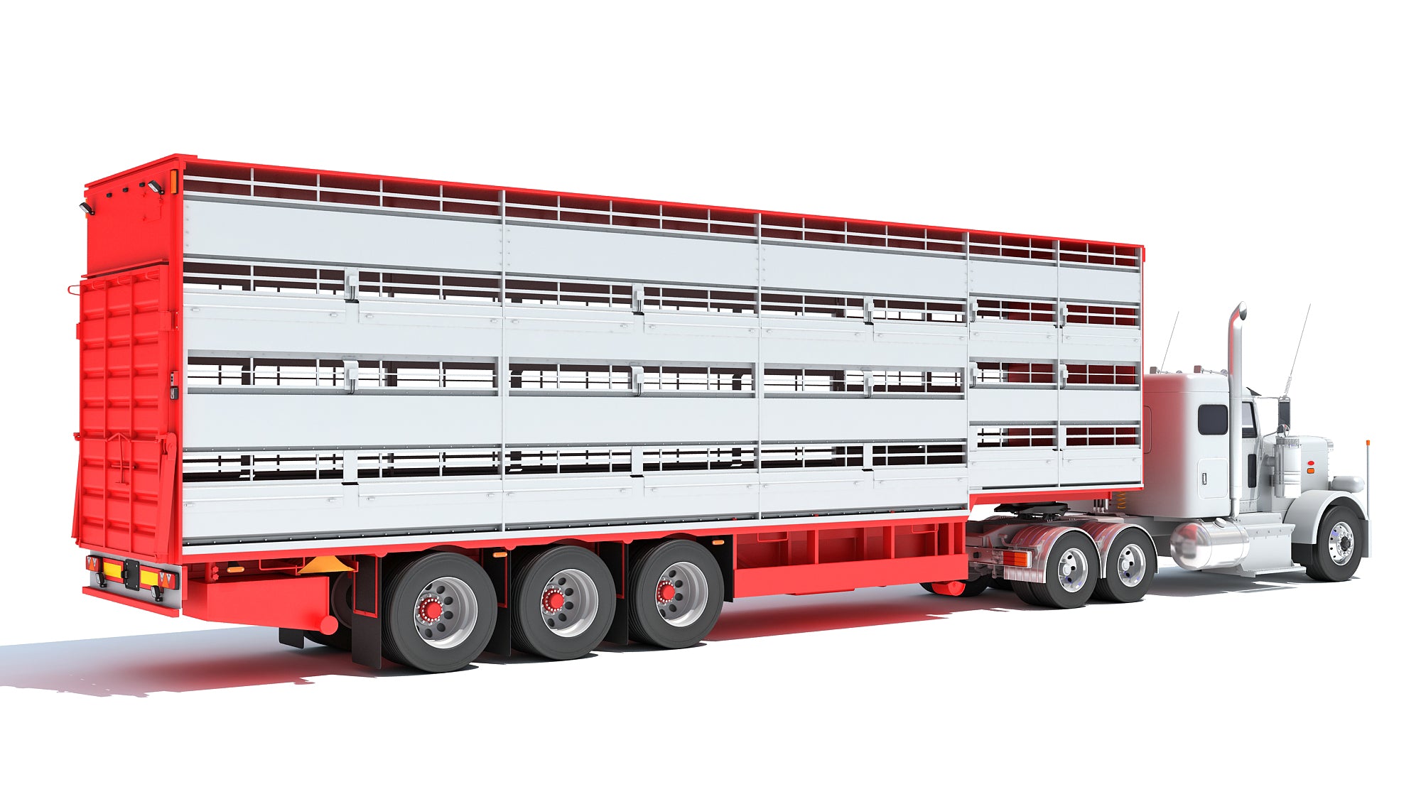 Animal Transporter Semi Truck and Trailer