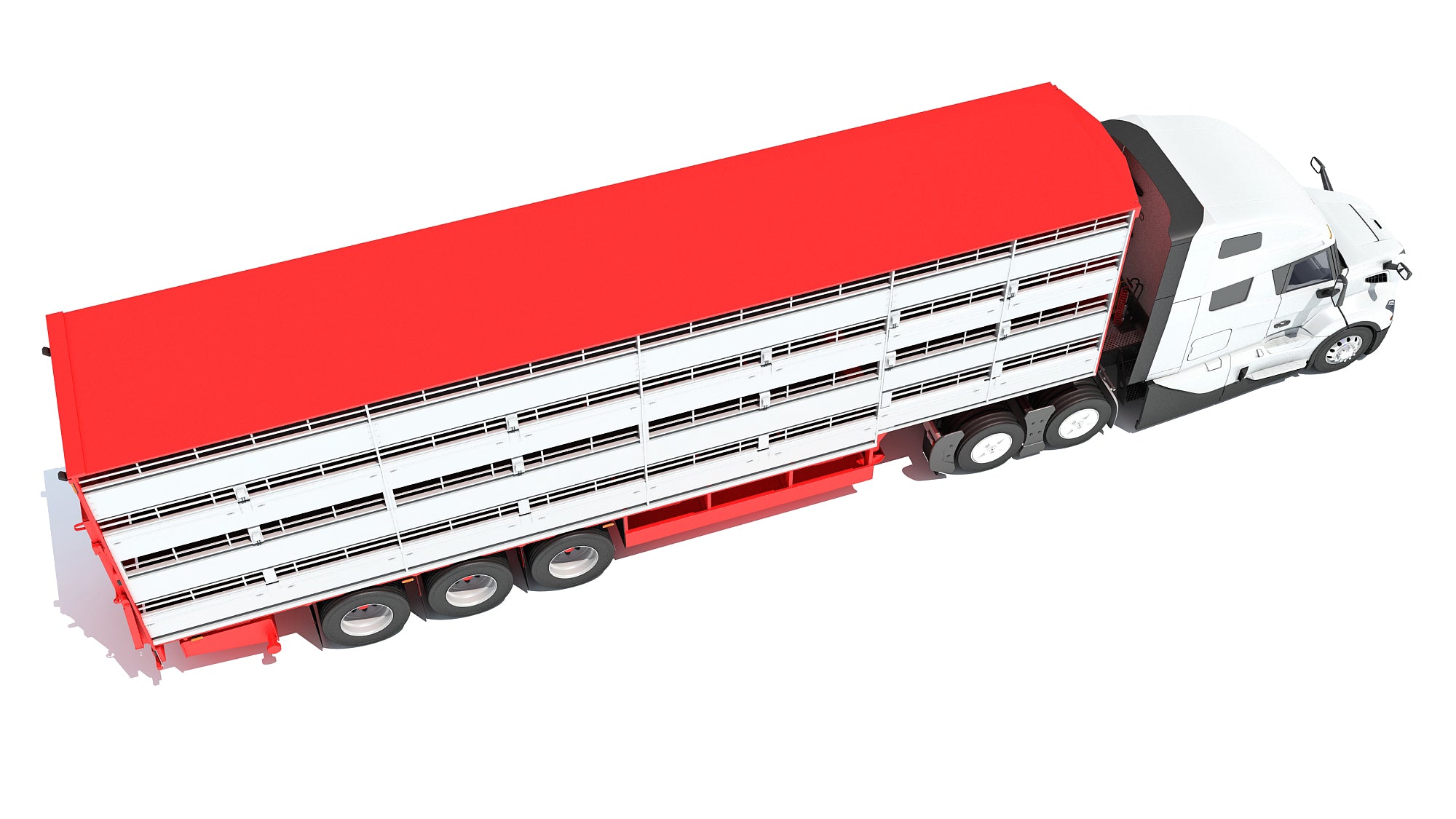 2024 Animal Transporter Semi Truck and Trailer