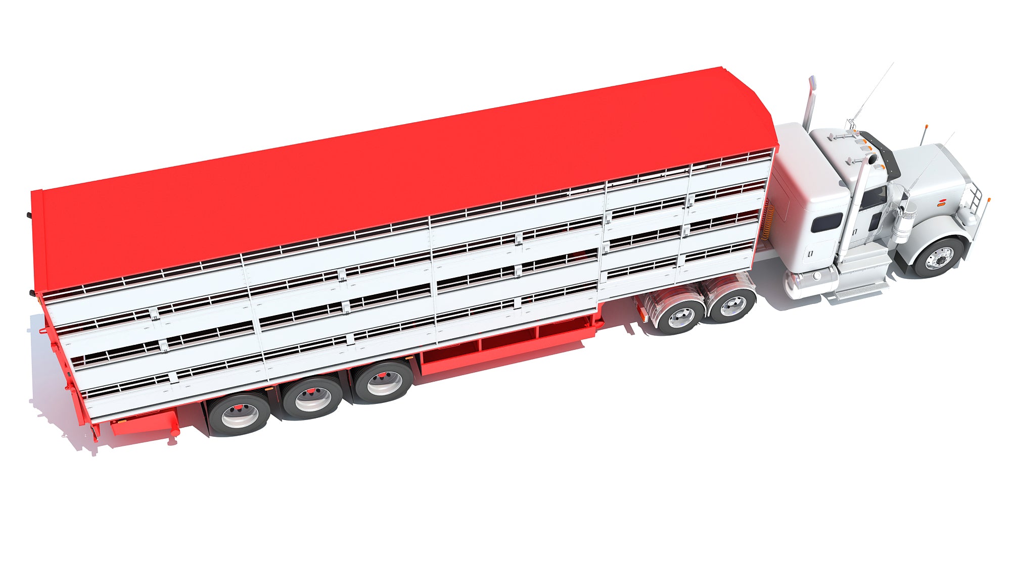 Animal Transporter Semi Truck and Trailer