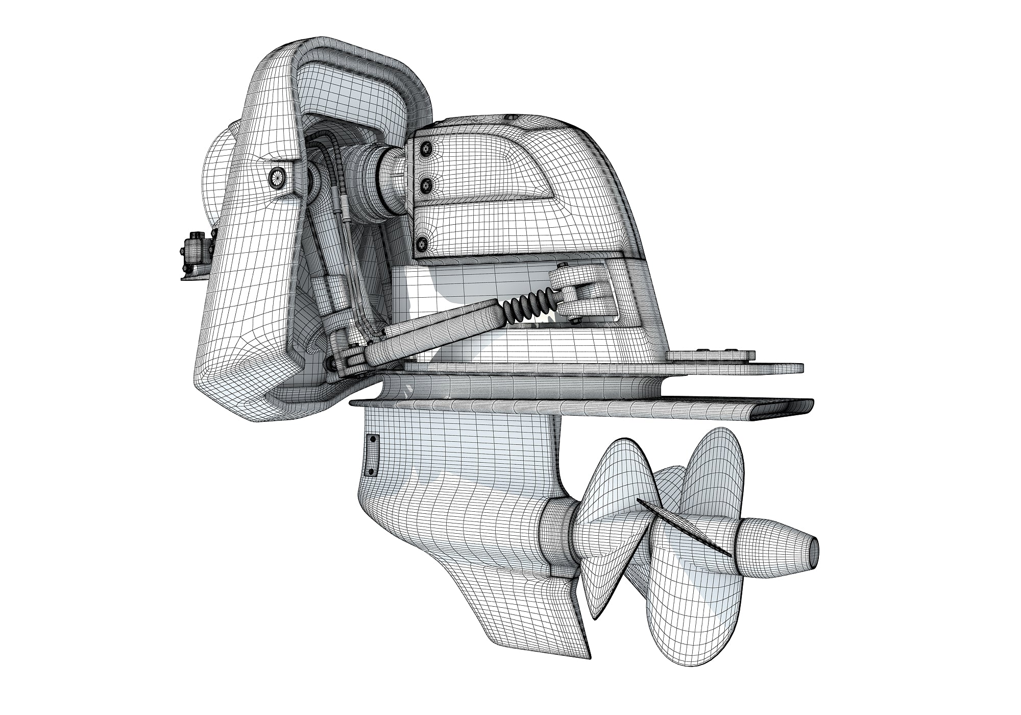 3D Models