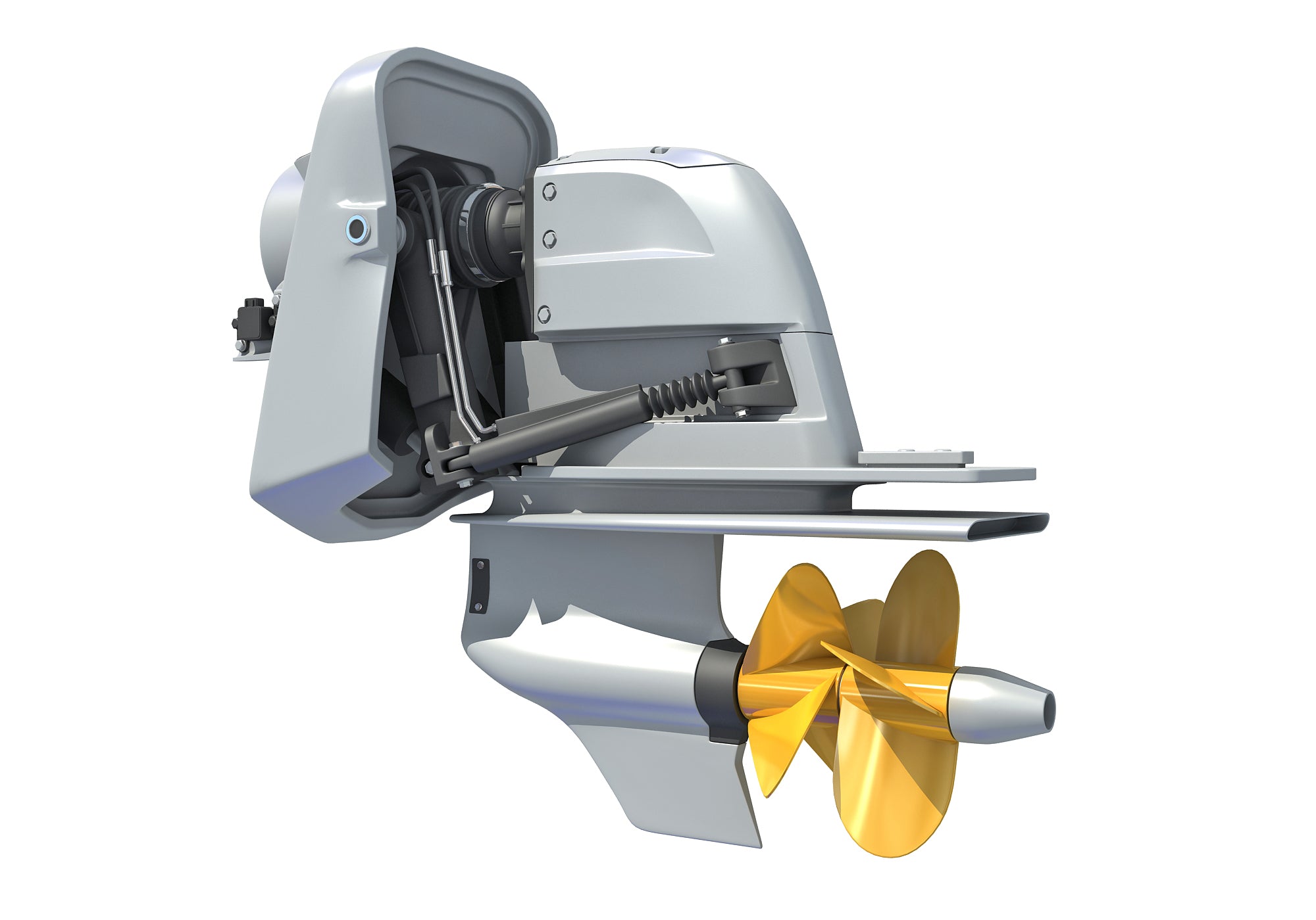 3D Models