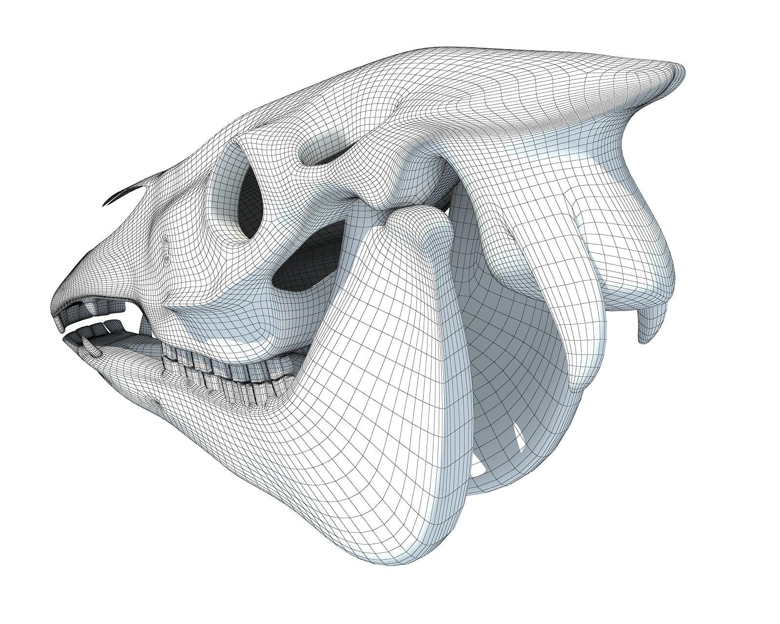 Donkey Skull 3D Model