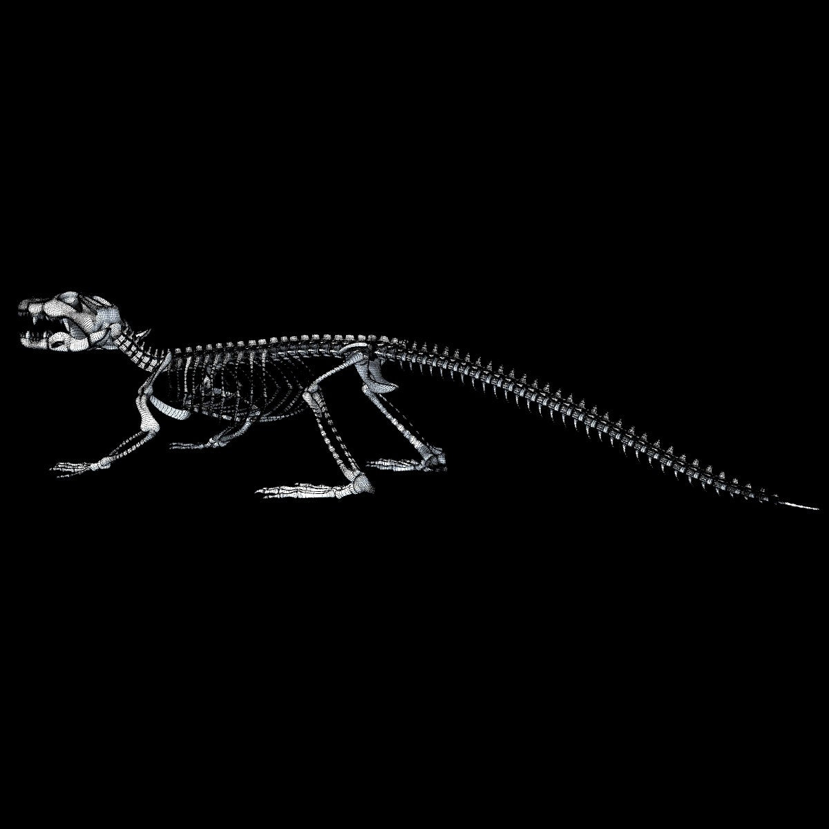 Crocodile Skeleton 3D Model