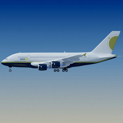Airbus 3D Model 22 Airlines Textures