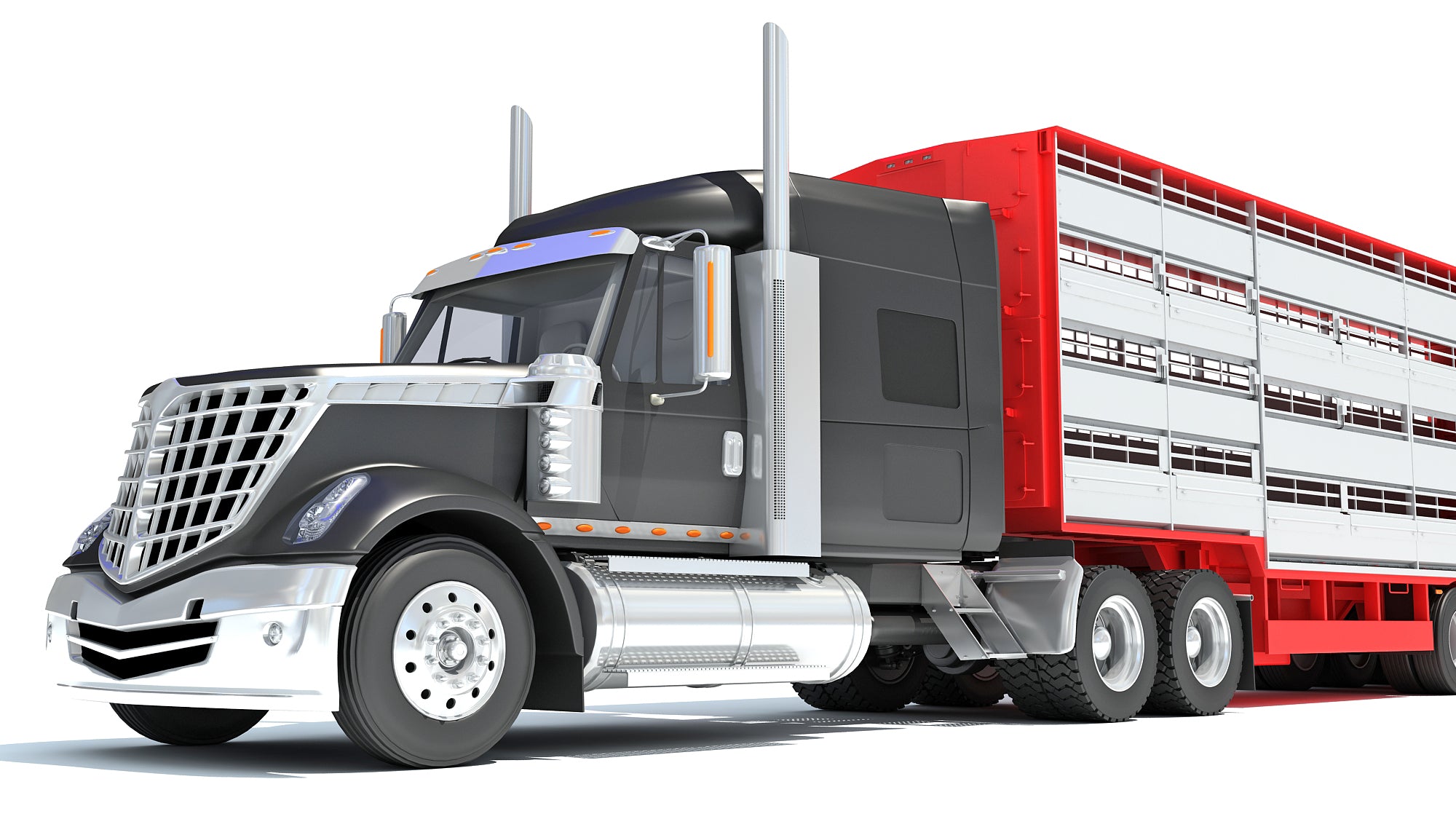 Truck with Animal Transporter Trailer