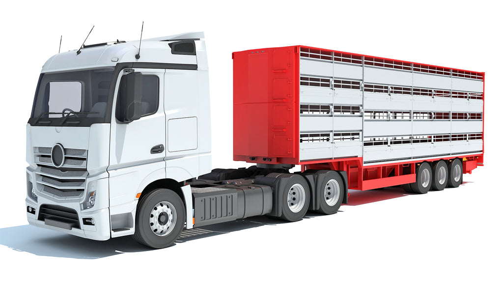 Truck with Animal Transporter Trailer