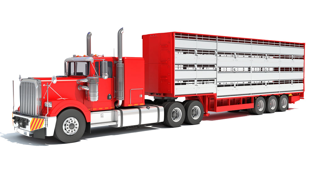 Animal Transporter