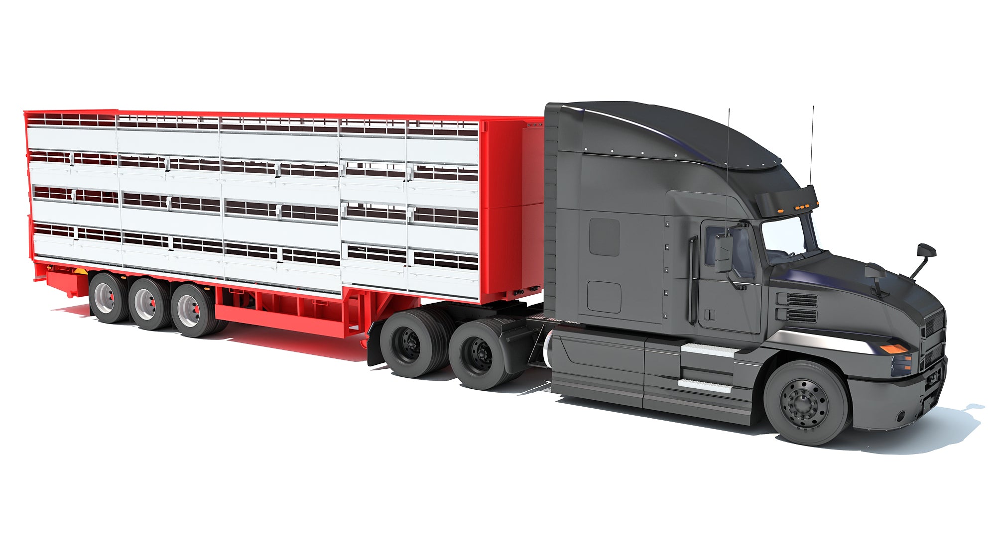 Truck with Cattle Animal Transporter Trailer