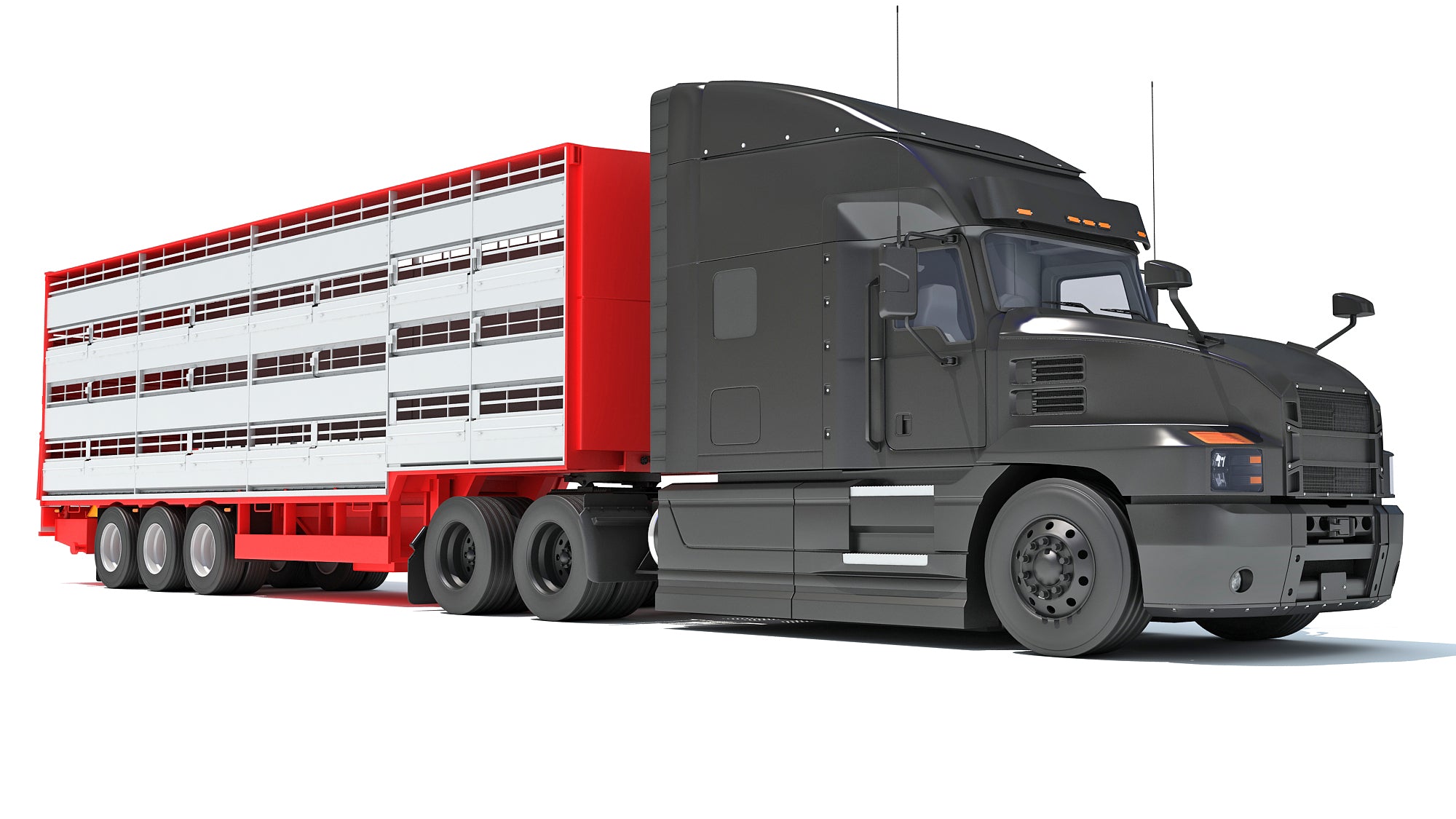 Truck with Cattle Animal Transporter Trailer