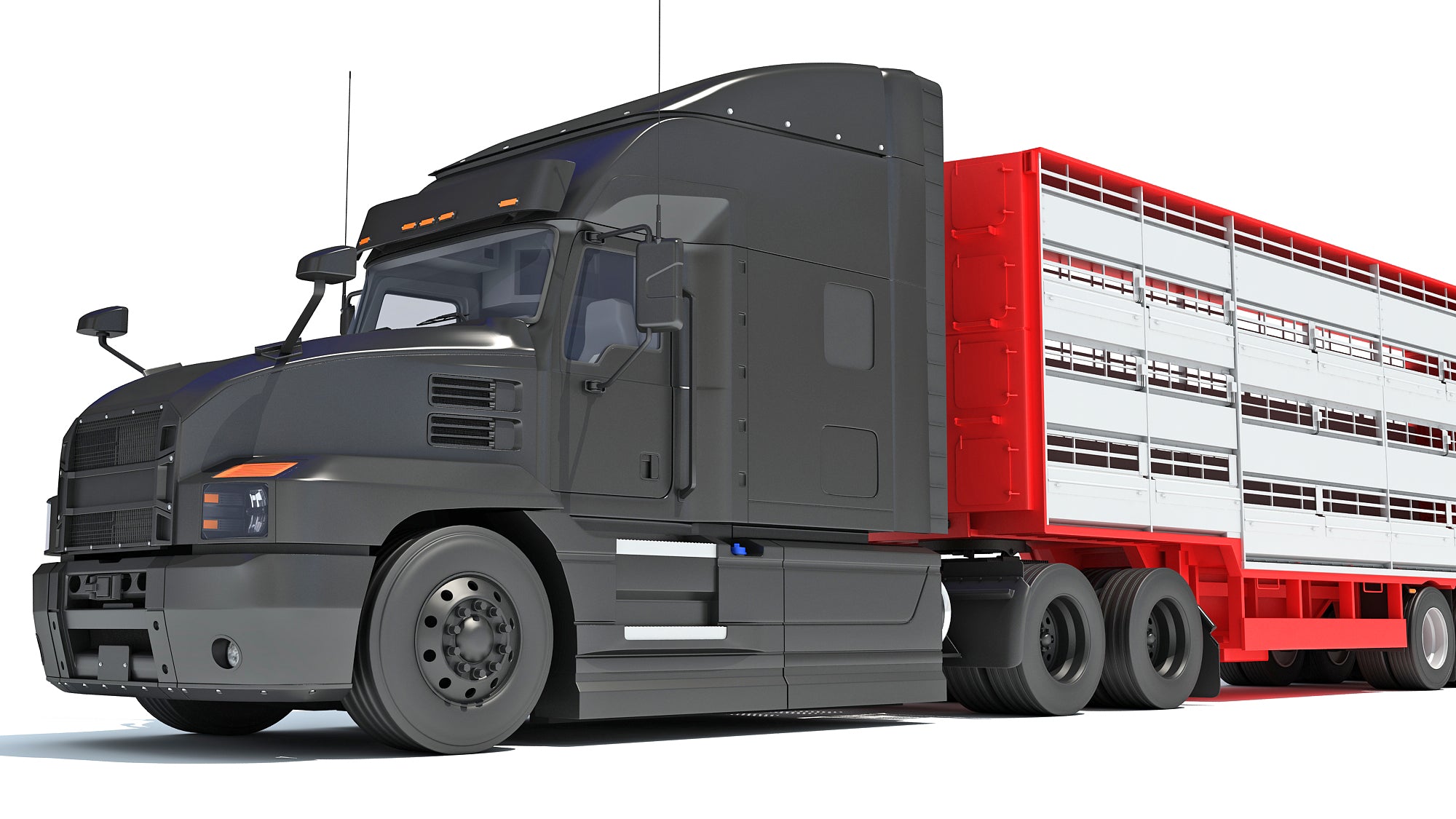 Truck with Cattle Animal Transporter Trailer