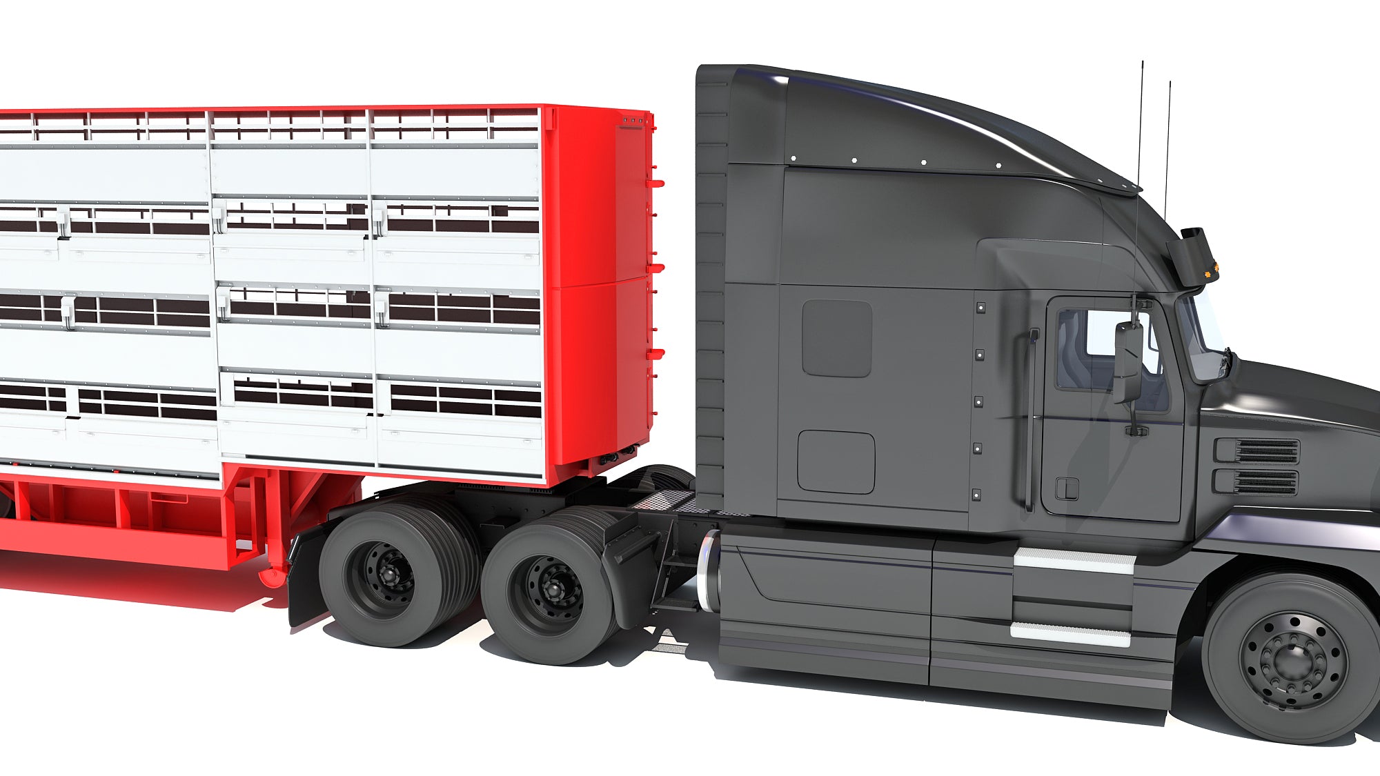 Truck with Cattle Animal Transporter Trailer