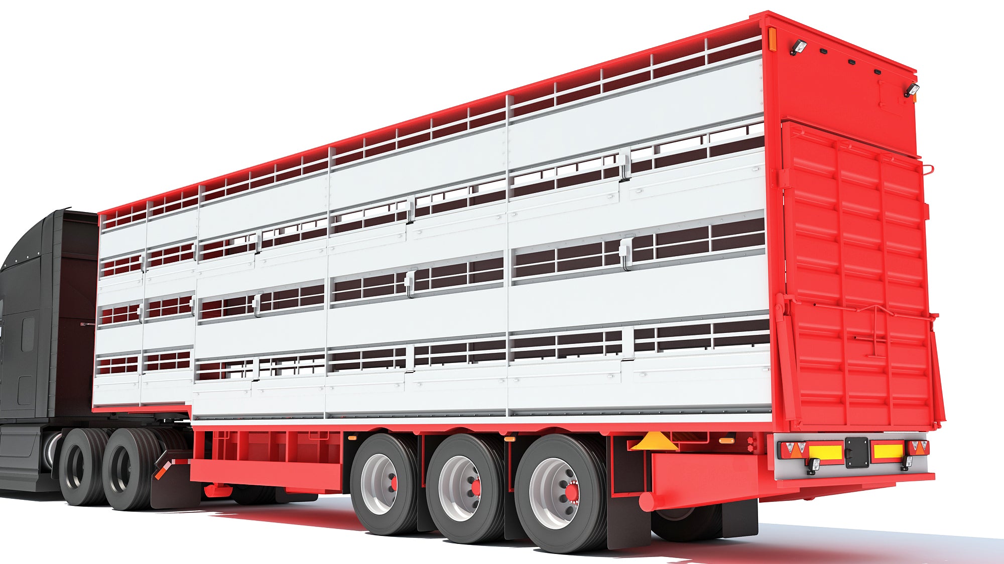 Truck with Cattle Animal Transporter Trailer