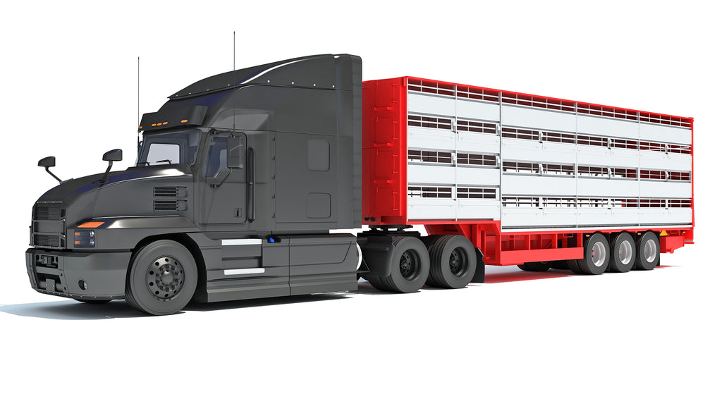 Truck with Cattle Animal Transporter Trailer