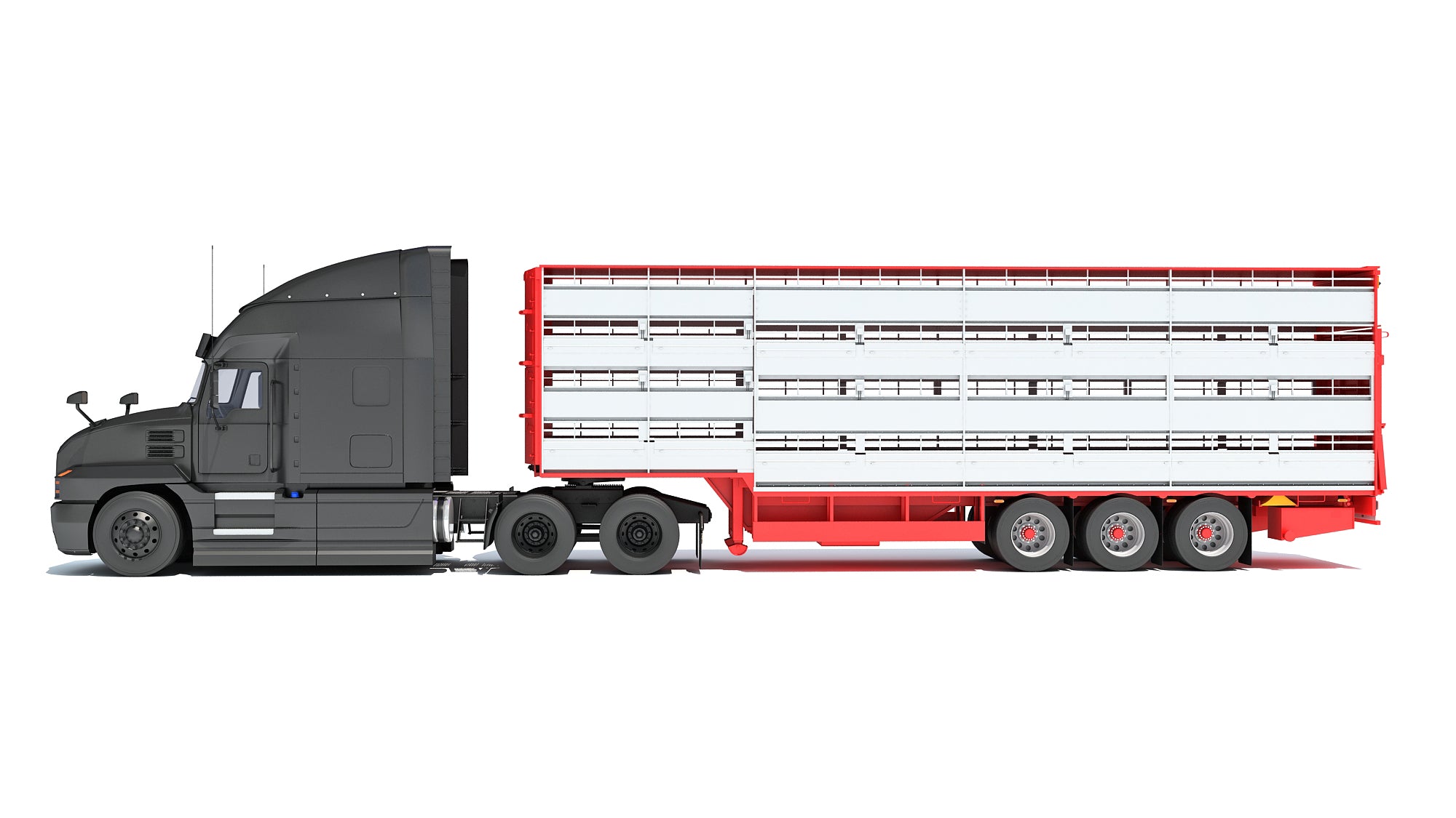 Truck with Cattle Animal Transporter Trailer