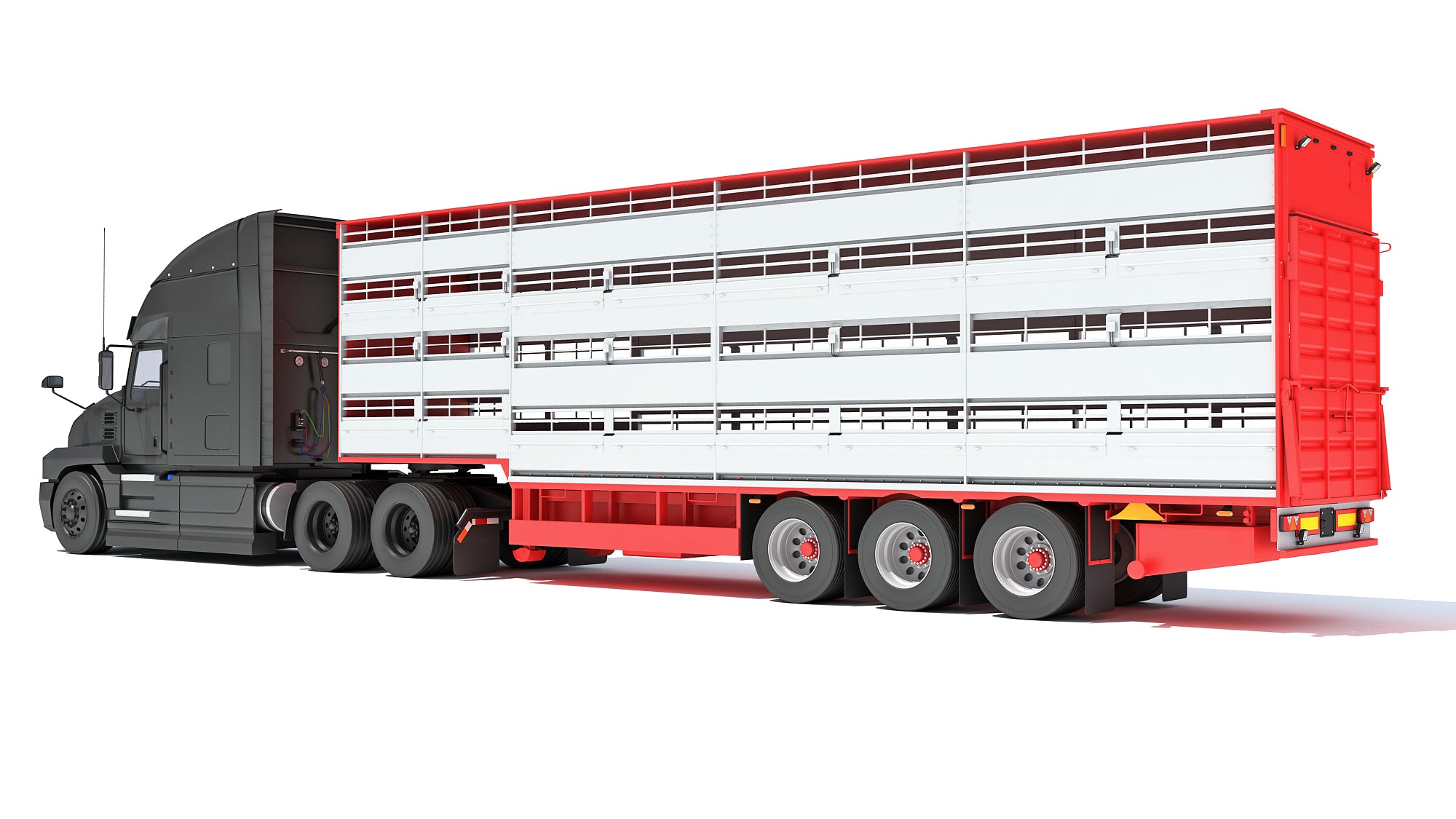 Truck with Cattle Animal Transporter Trailer