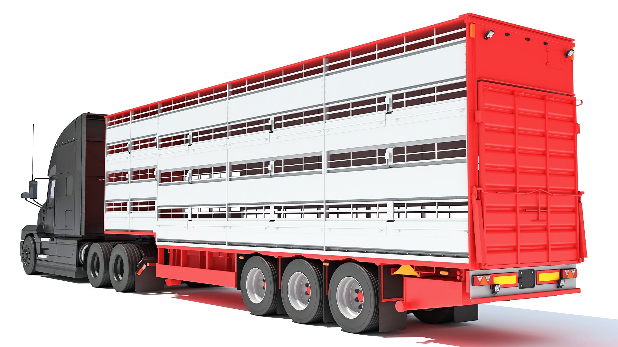 Truck with Cattle Animal Transporter Trailer