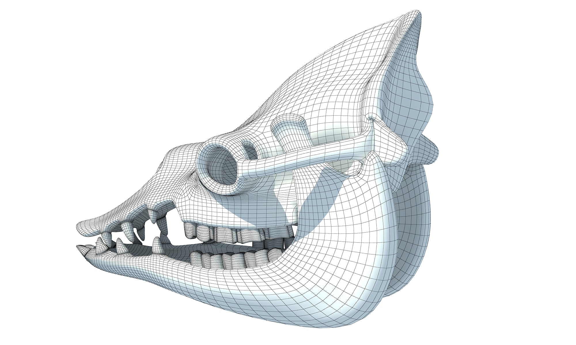 Camel Skull