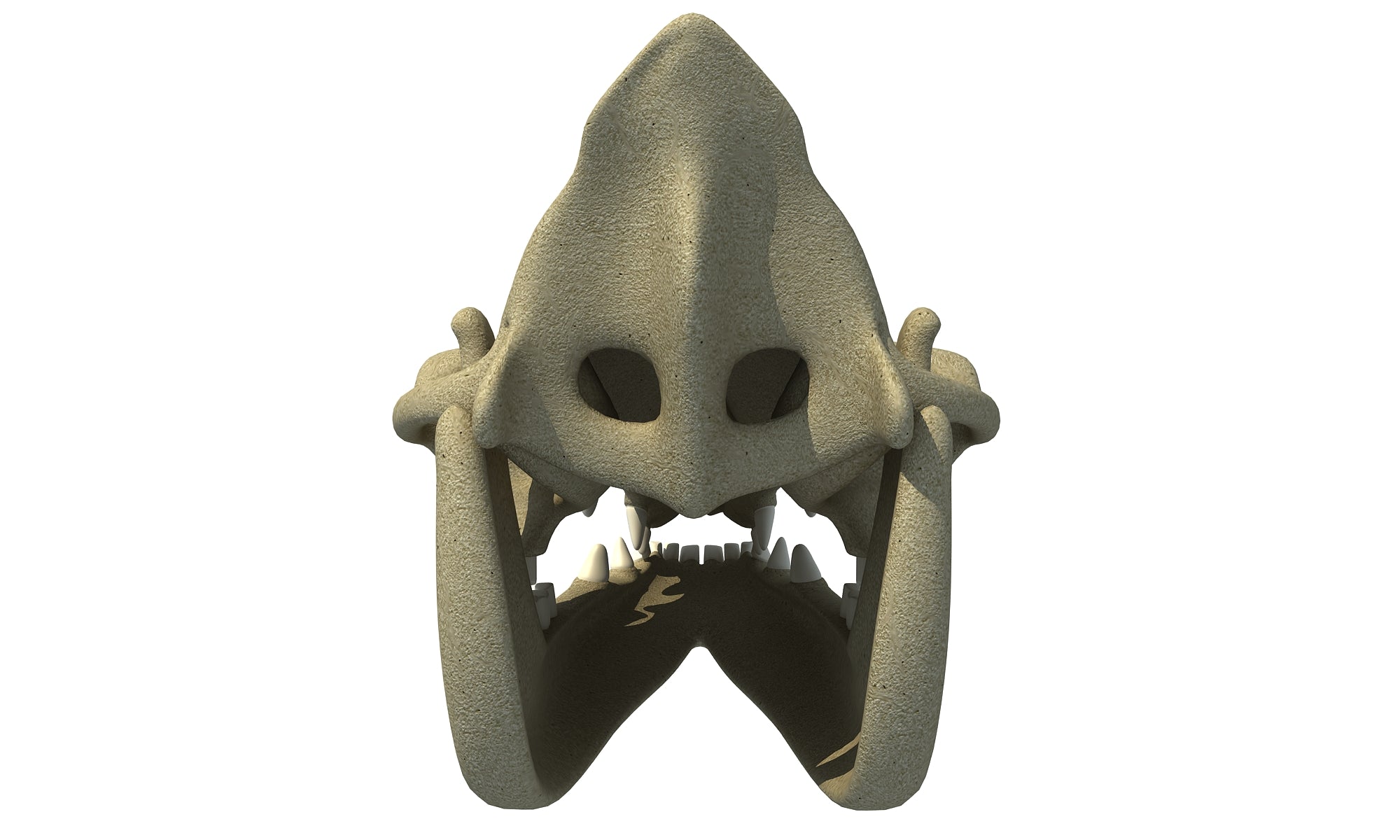 Camel Skull