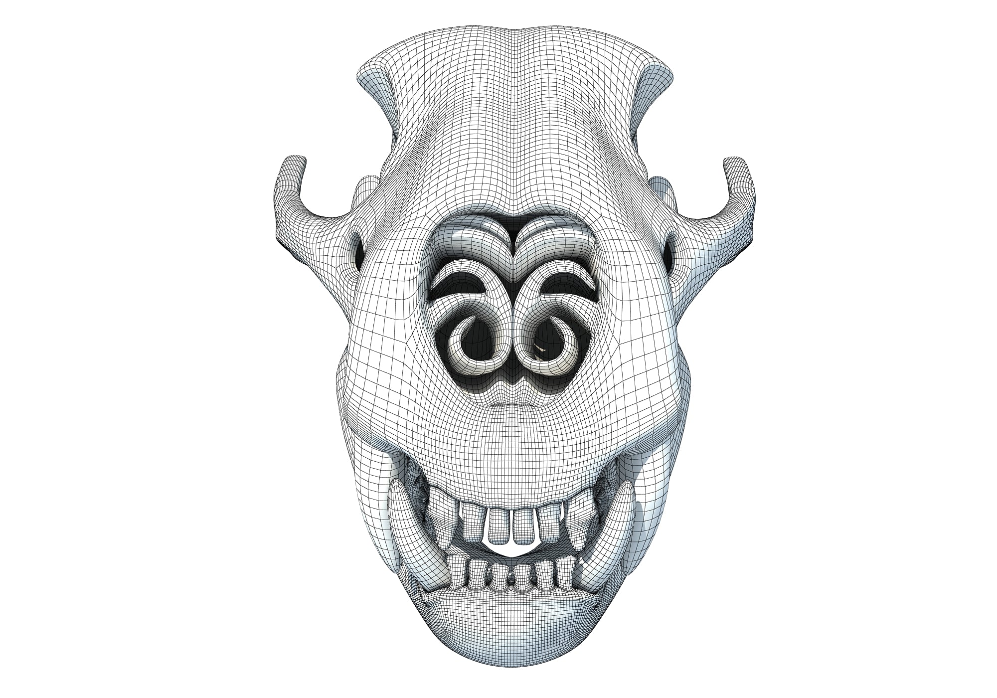 Cheetah Skull