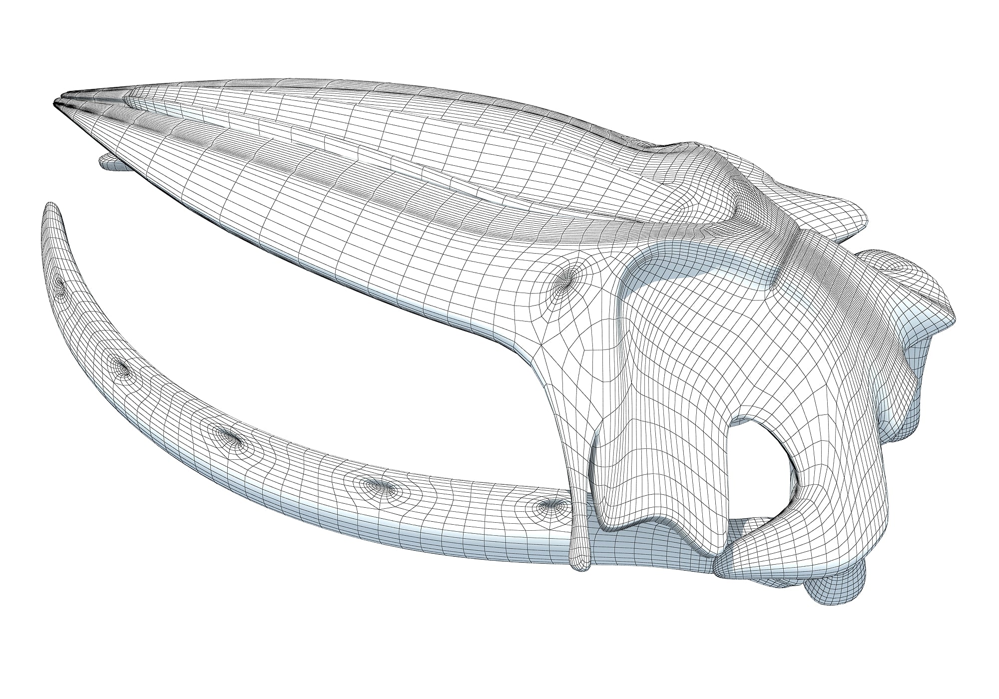 Humpback Whale Skull