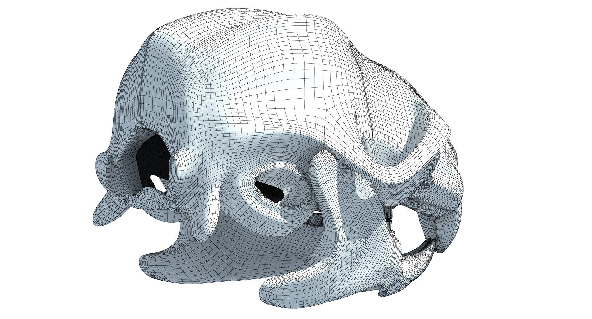 Rat Skull