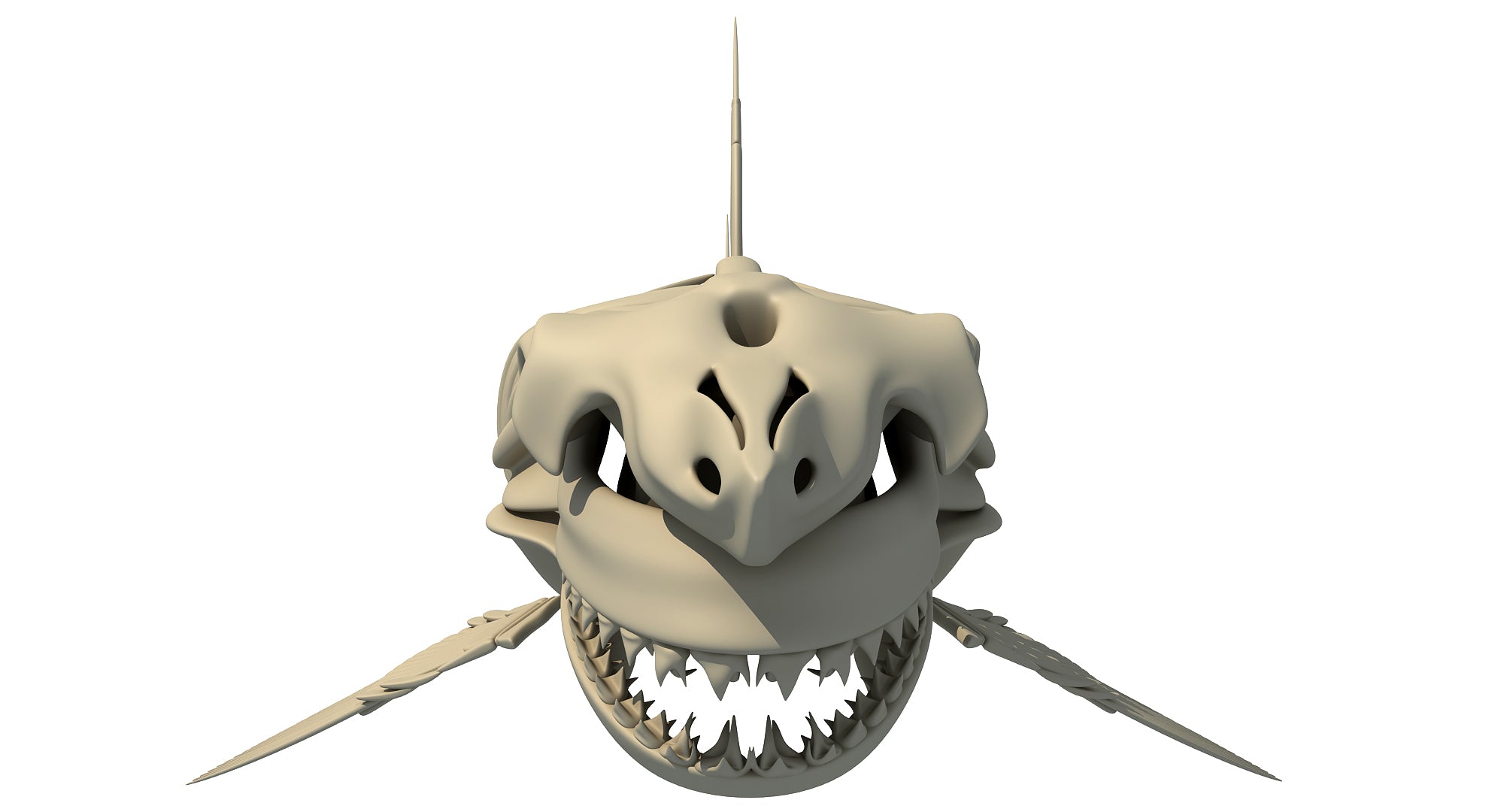 White Shark Skeleton 3D Model