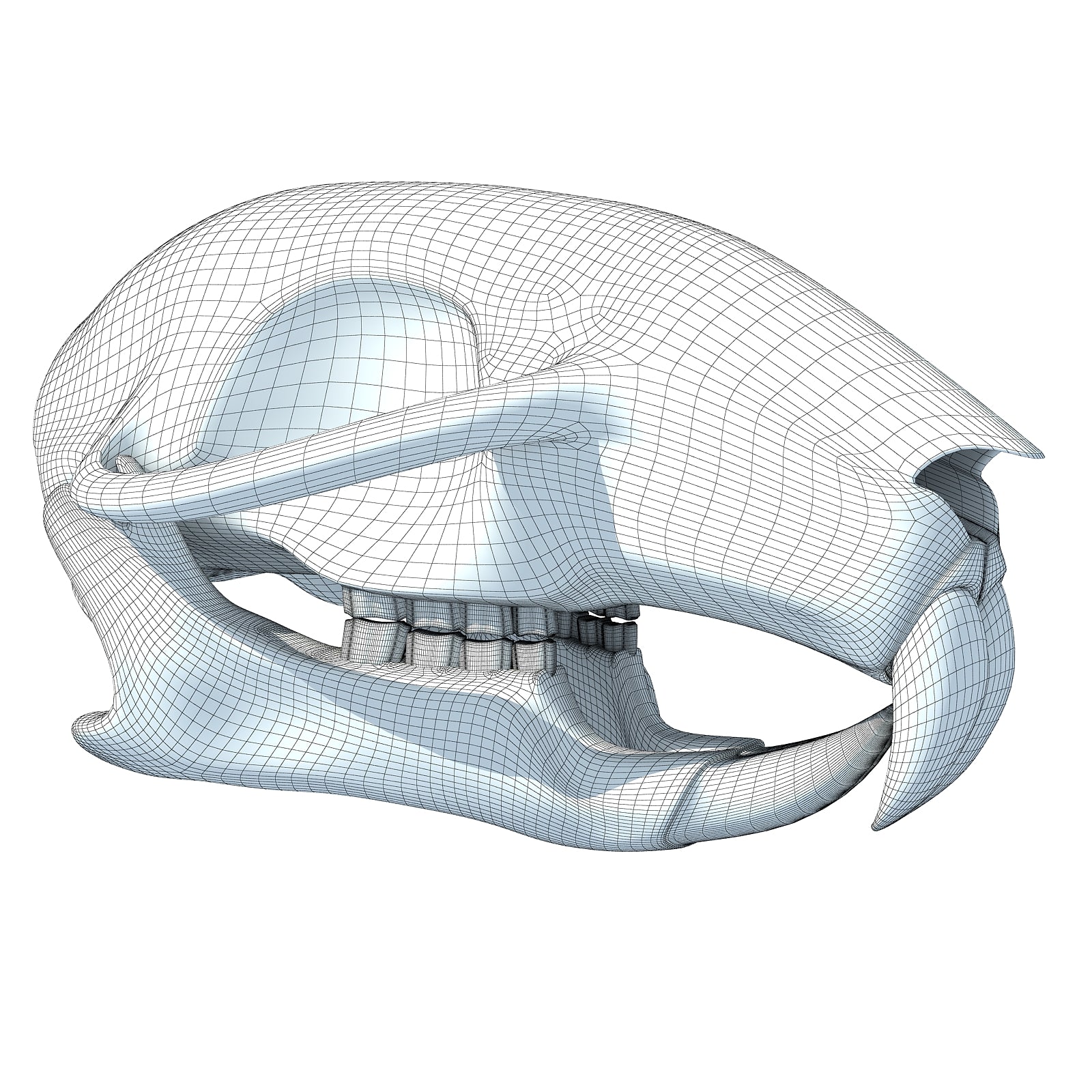 Squirrel Skull 3D Model