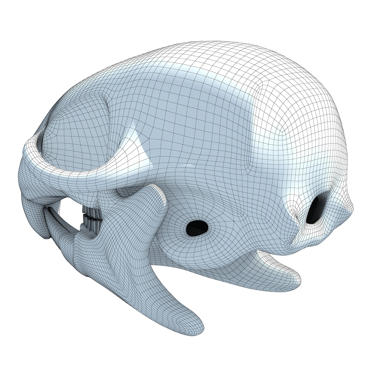 Squirrel Skull 3D Model
