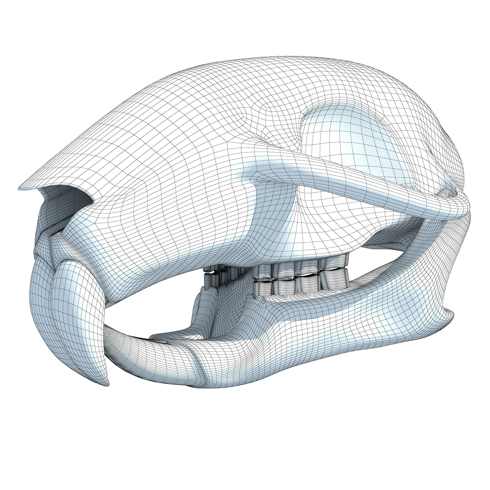 Squirrel Skull 3D Model