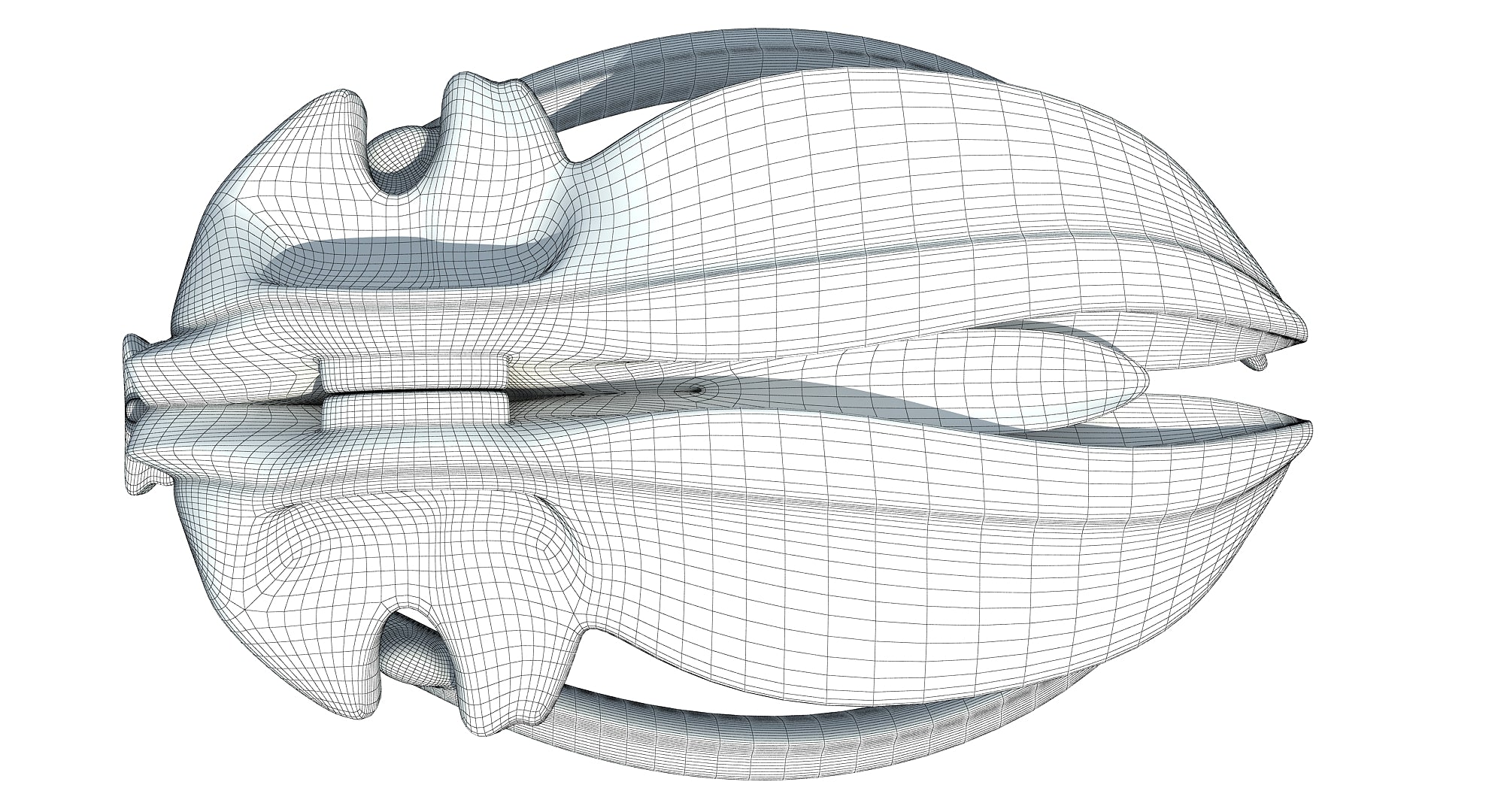 Blue Whale Skull
