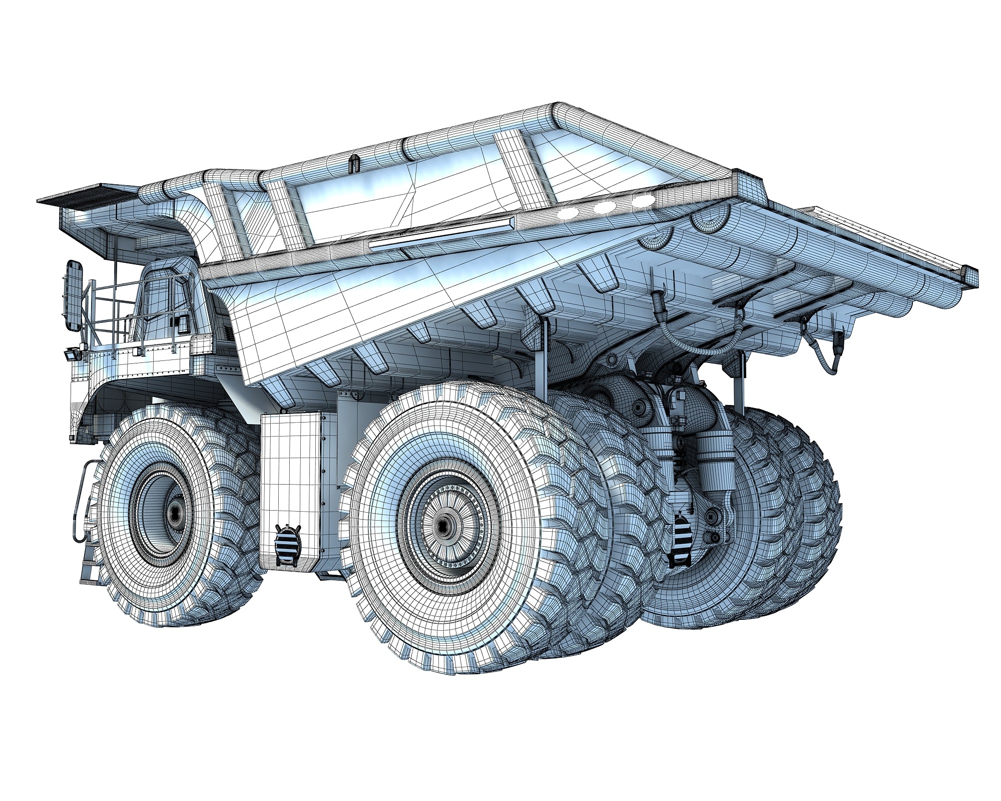 3D Models