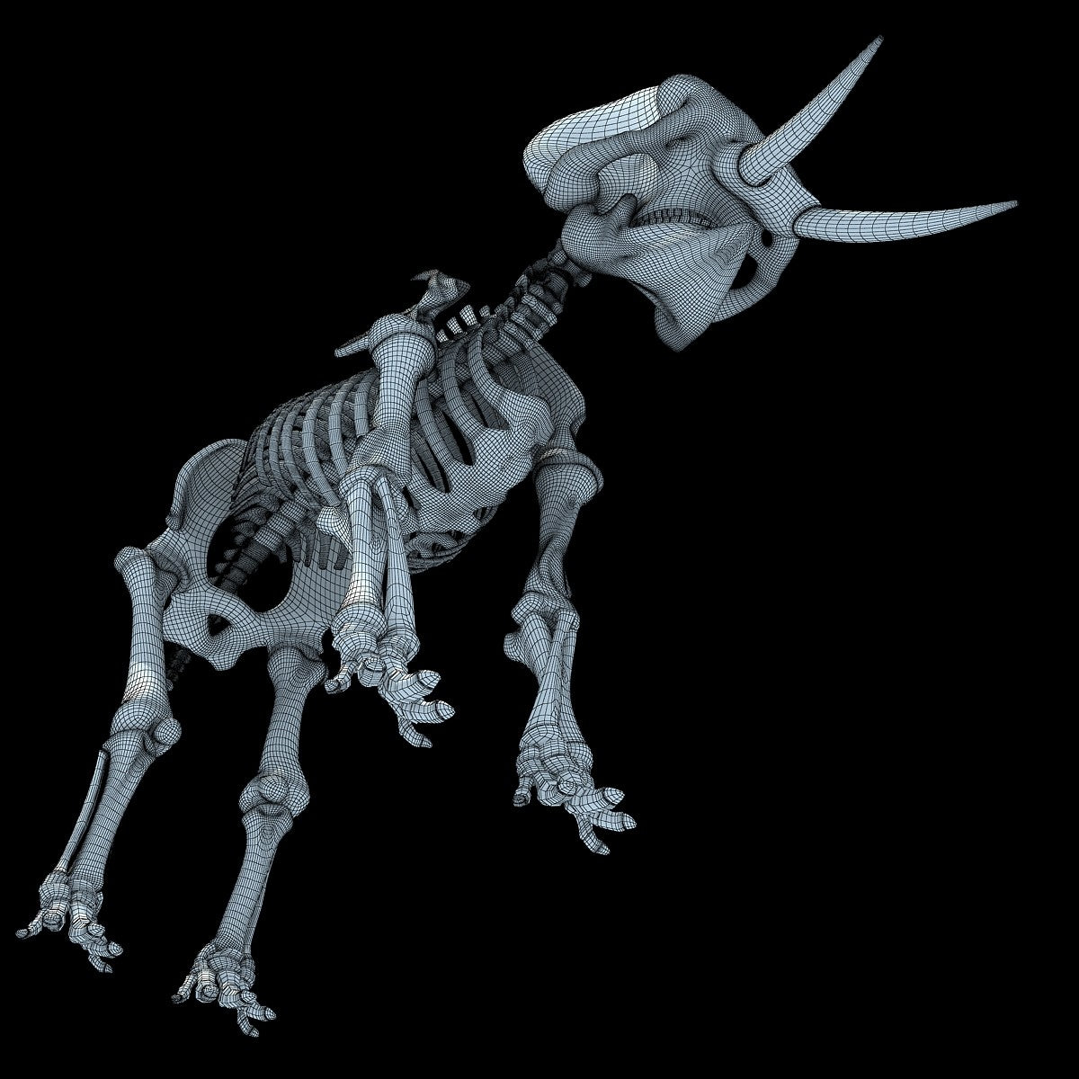 Animal Skeletons 3D Models