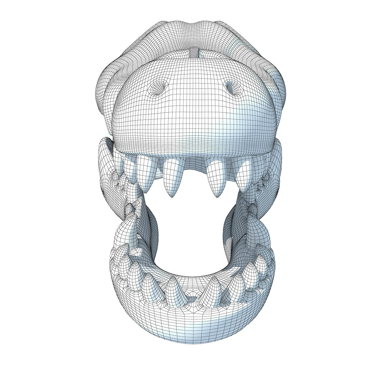 Crocodile Skull