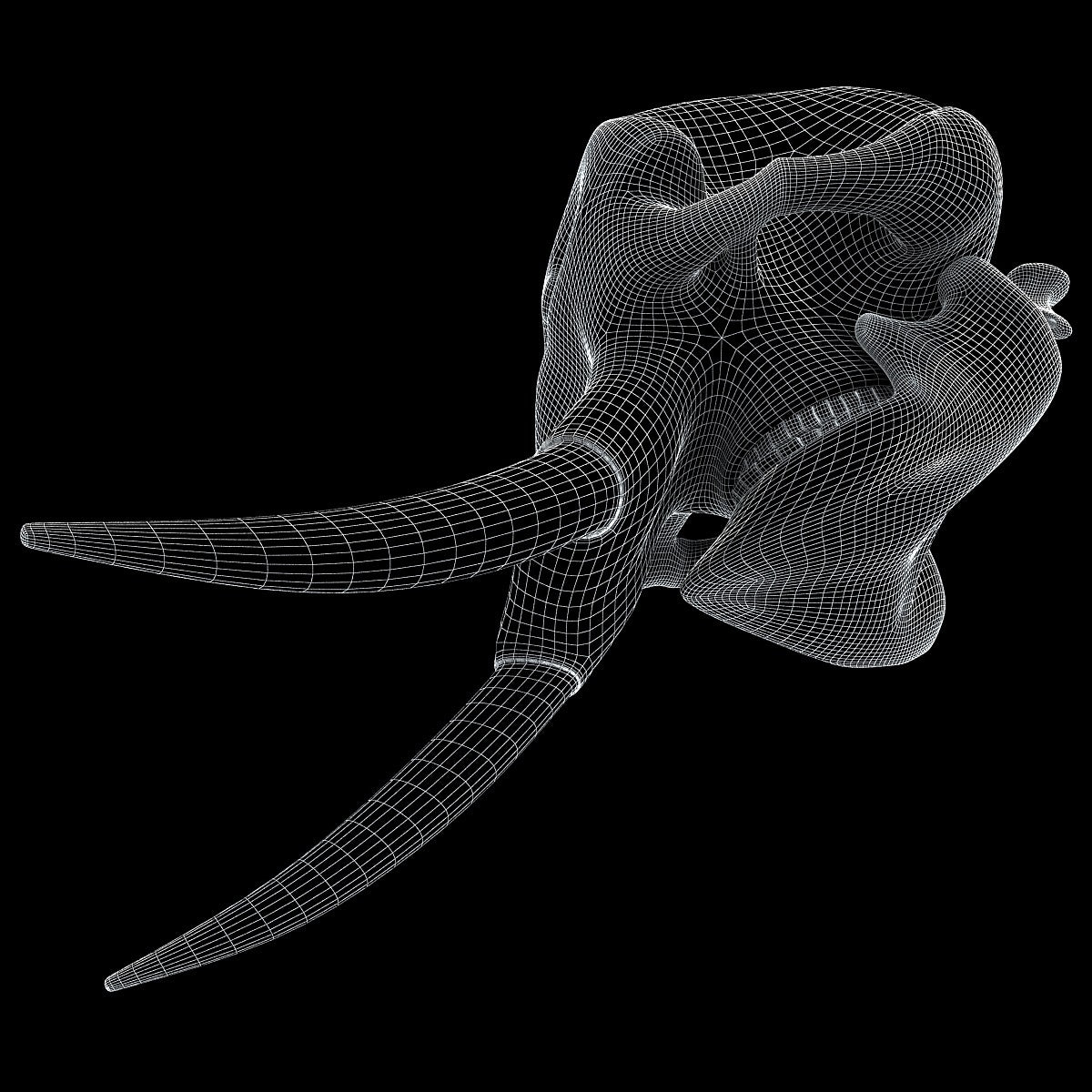 Elephant Skull 3D Model