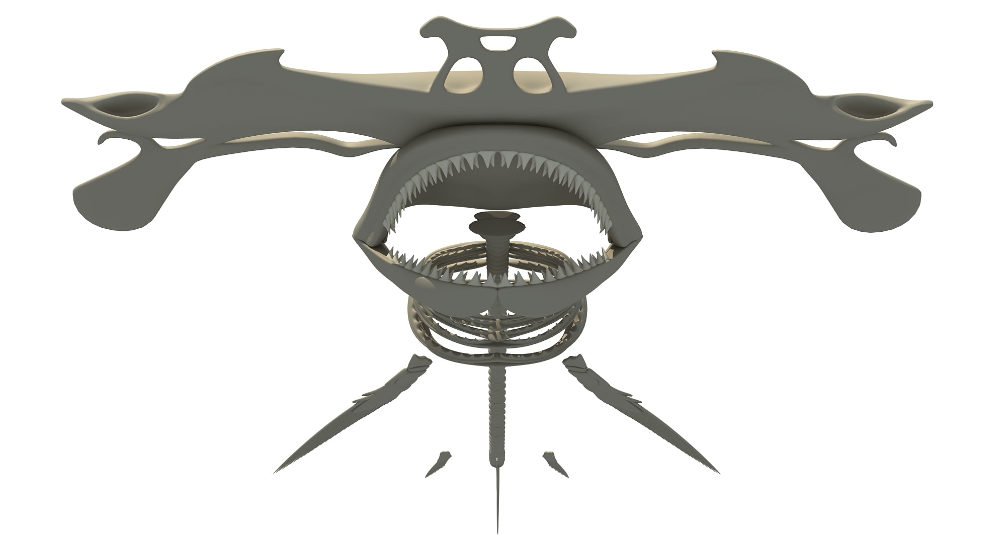 Hammerhead Shark Skeleton