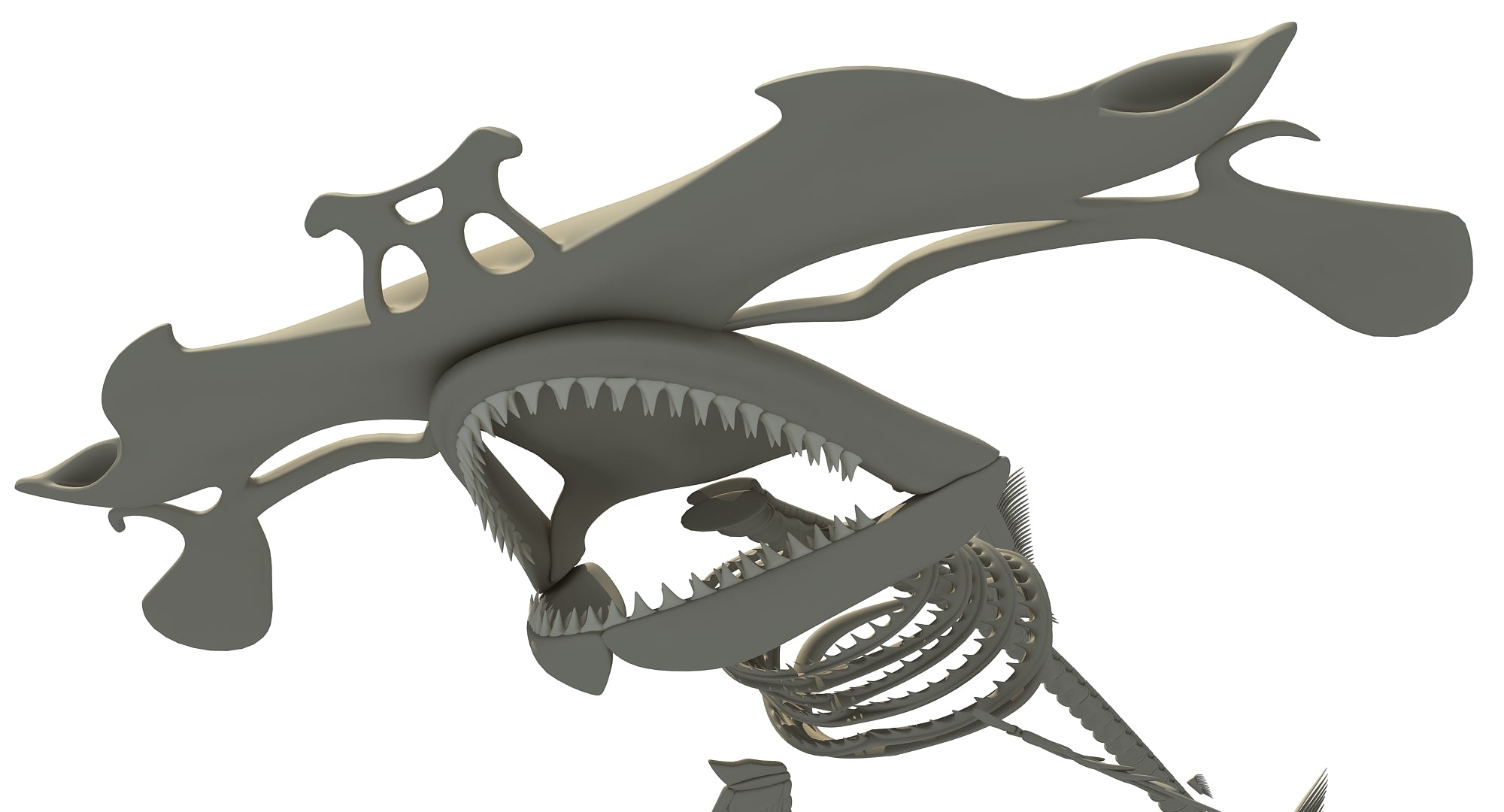 Hammerhead Shark Skeleton