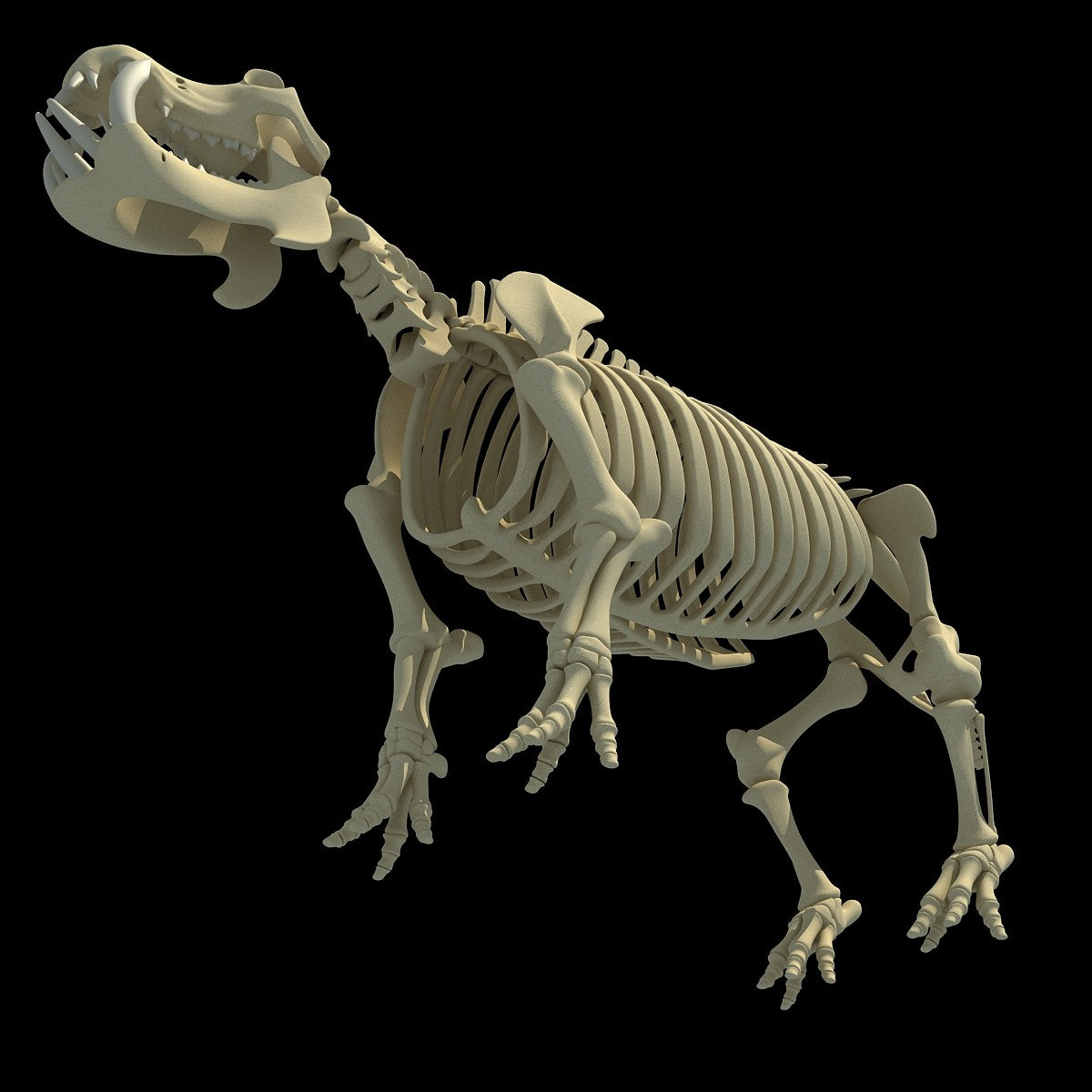River Horse Skeleton