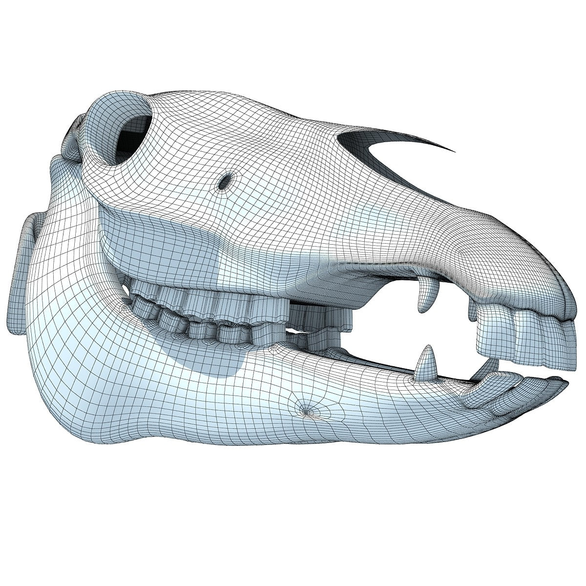 Horse Skull 3D Model