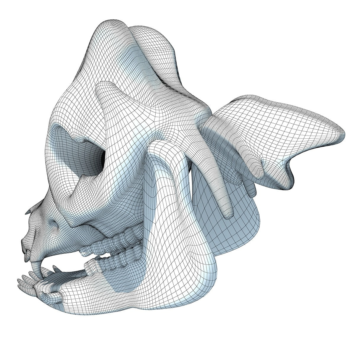 Pig Skull 3D Model