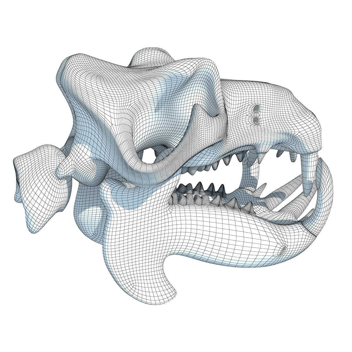 River Horse Skull Model